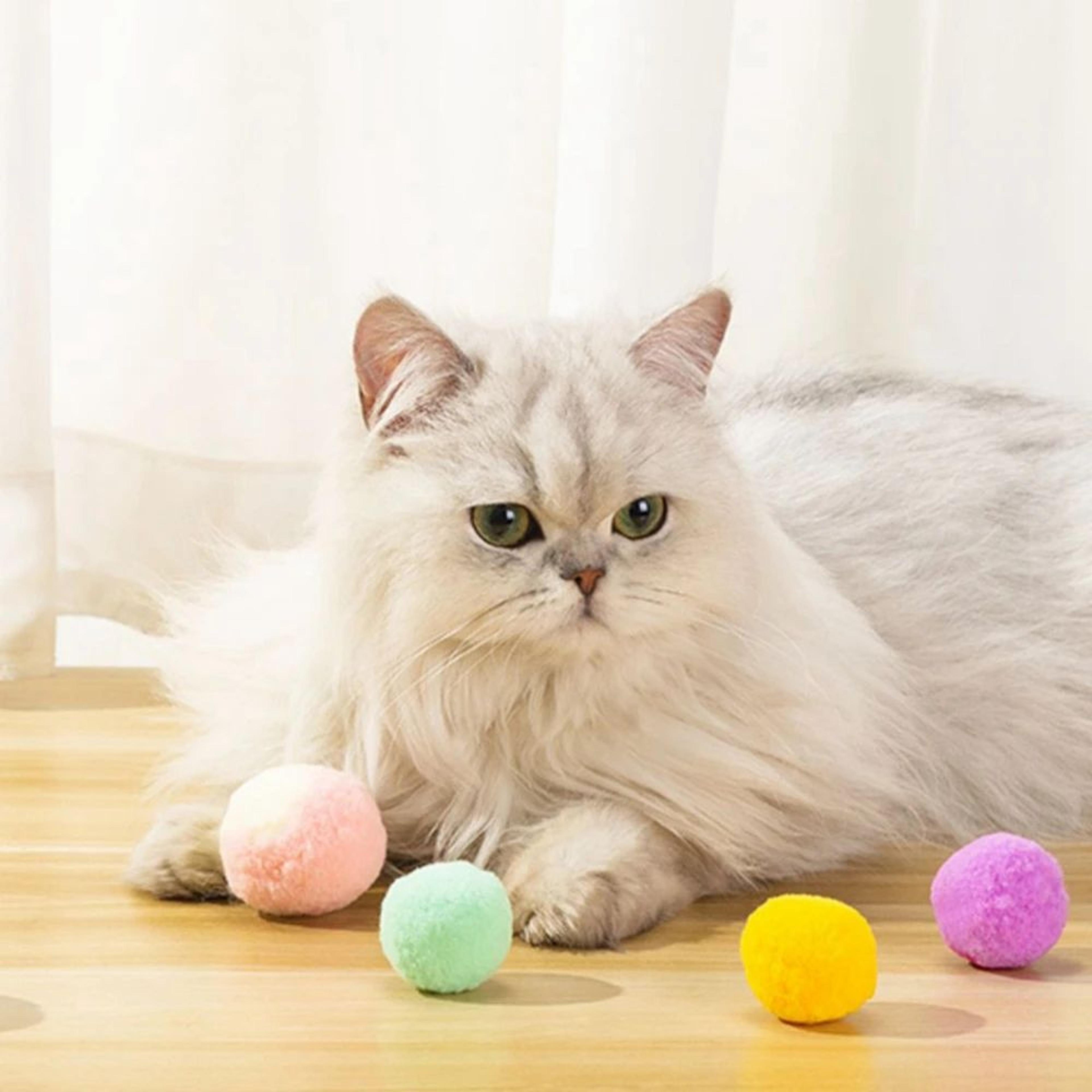 Soft Pom Pom Ball Interactive Cat Toy Set 3