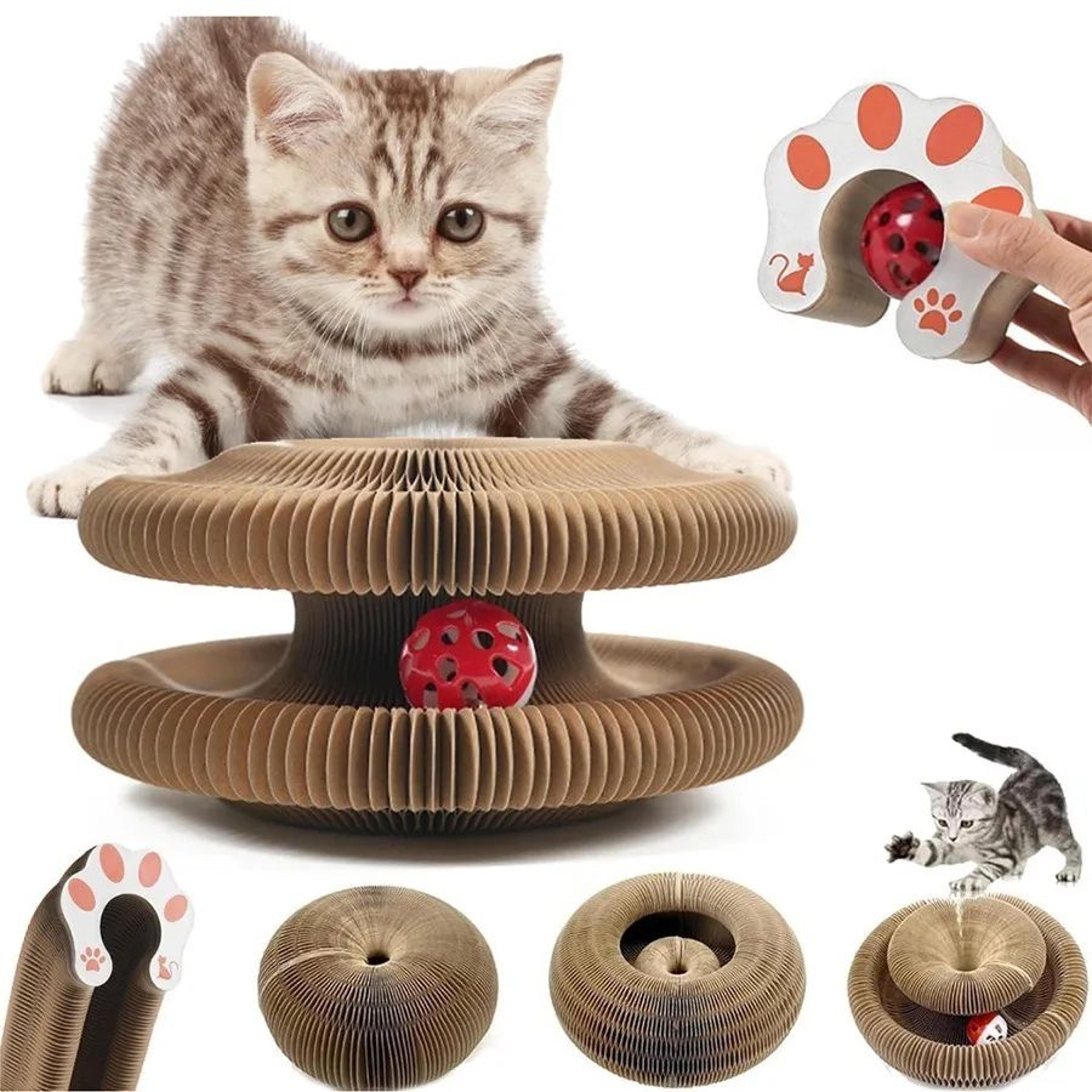 Magic Organ Cat Scratching Board Interactive Claw Grinding Toy 0