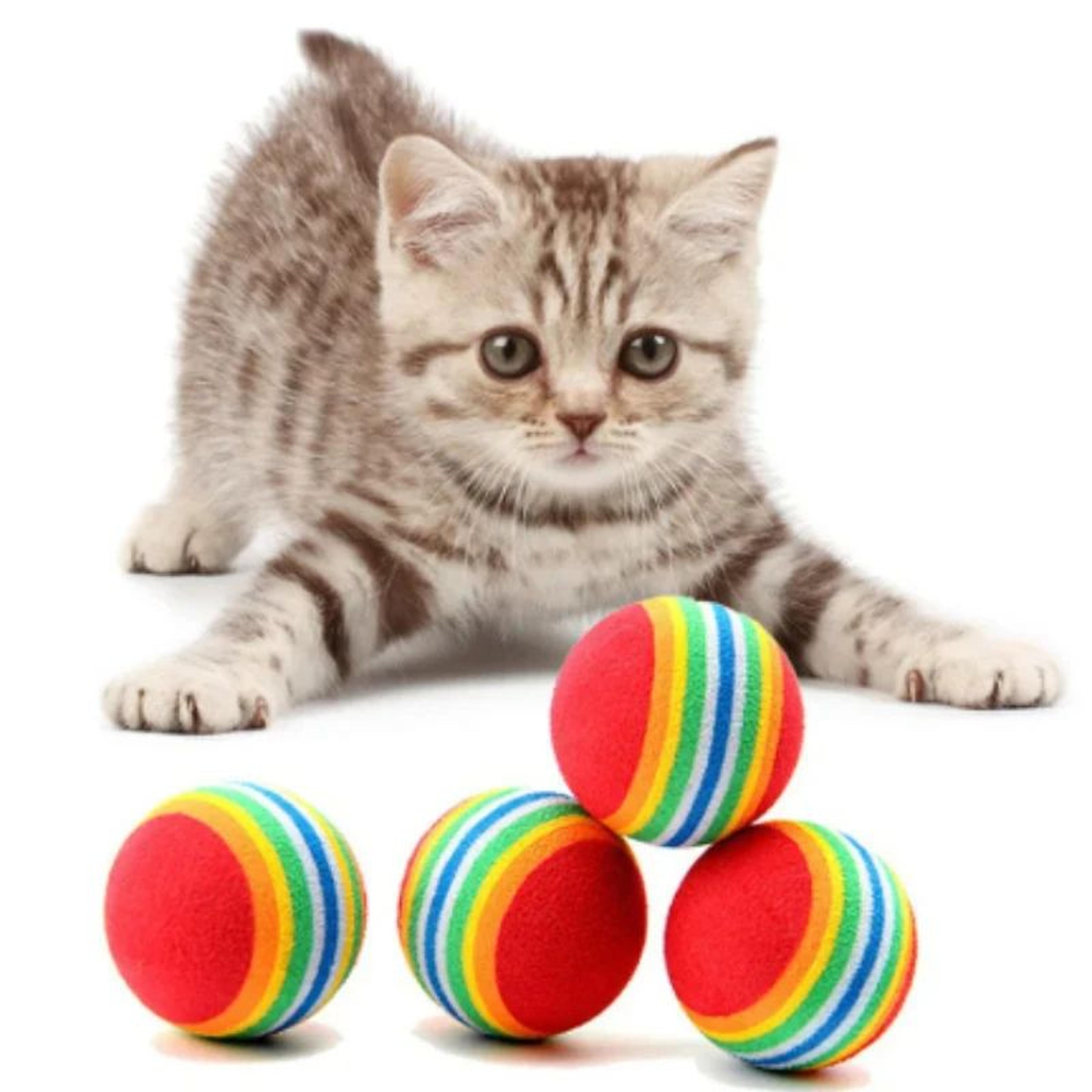 Rainbow EVA Interactive Pet Play Ball 1