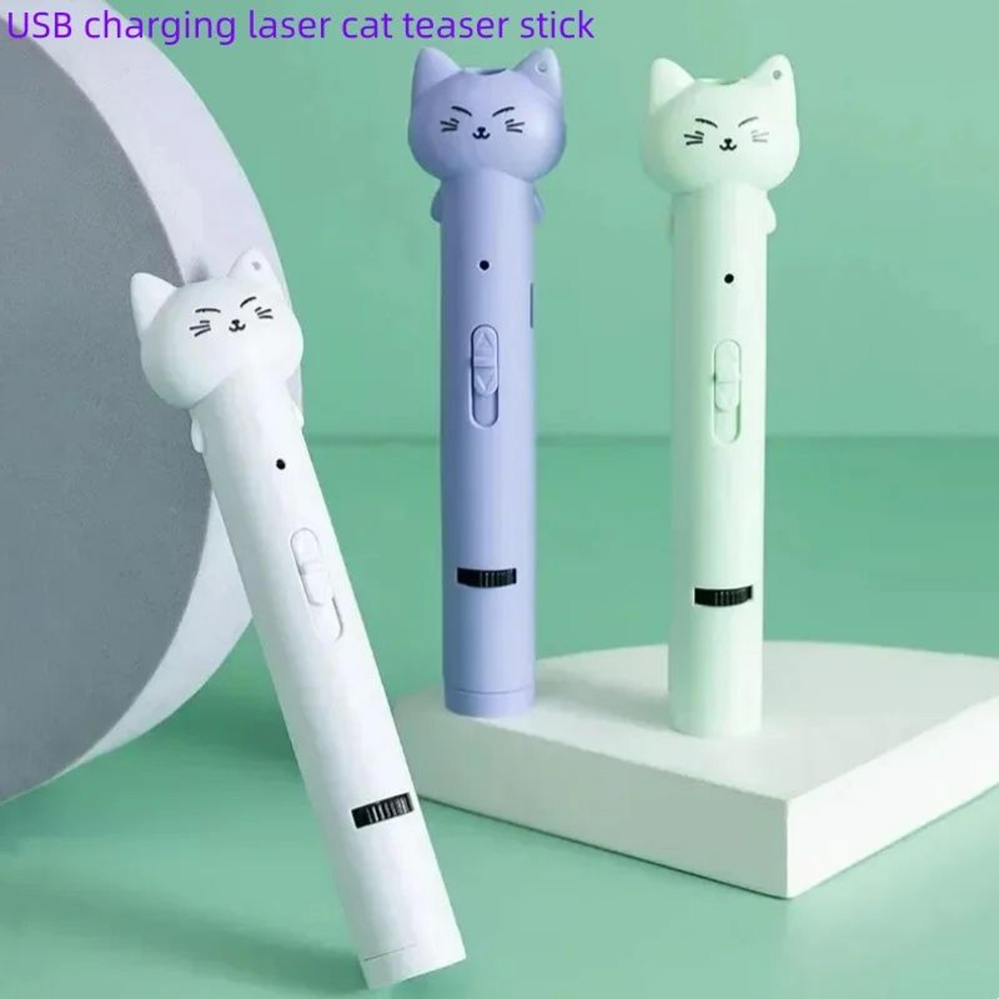 USB Rechargeable Interactive Laser Cat Toy Pen 0