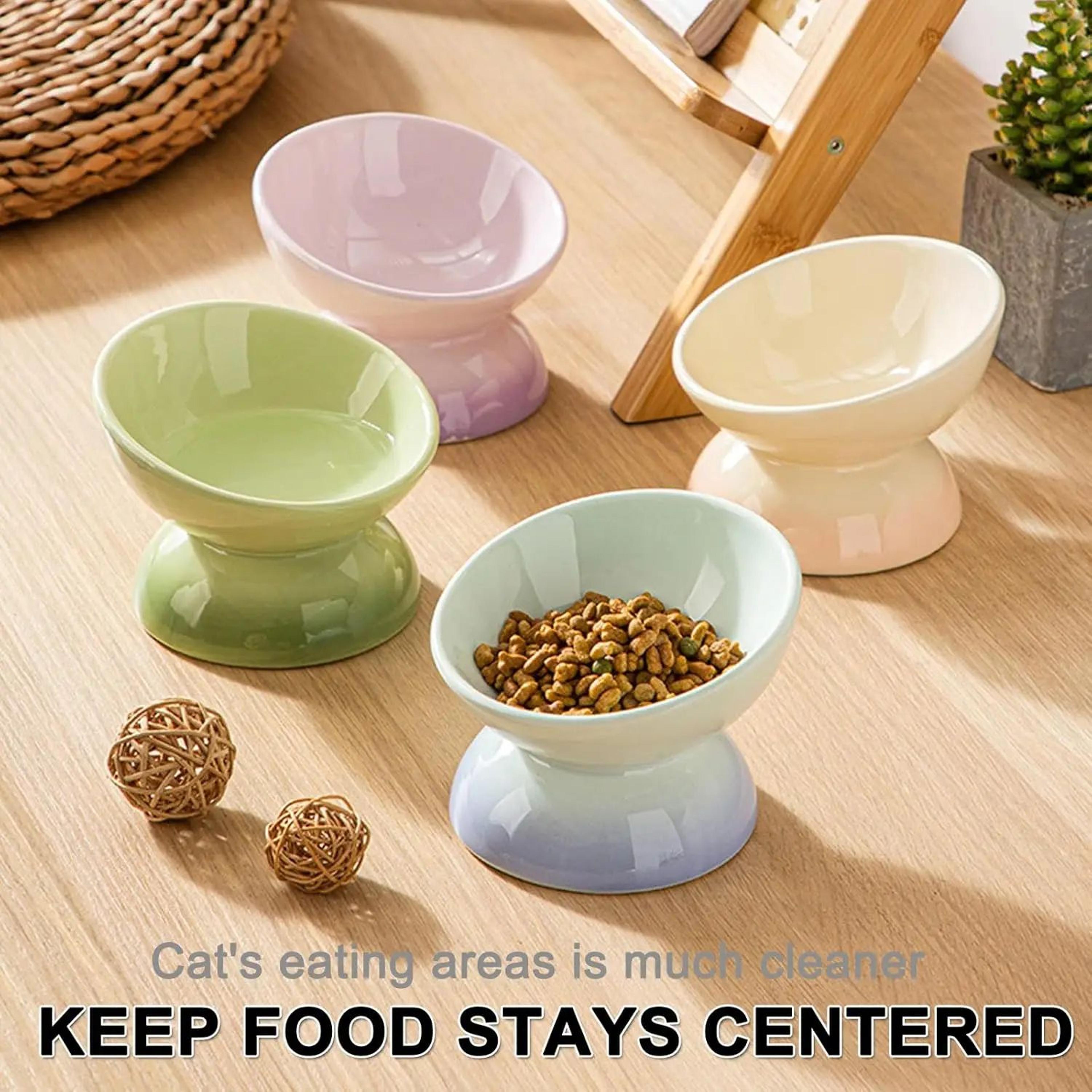 Ceramic Elevated Tilted Cat Feeding Bowl 3