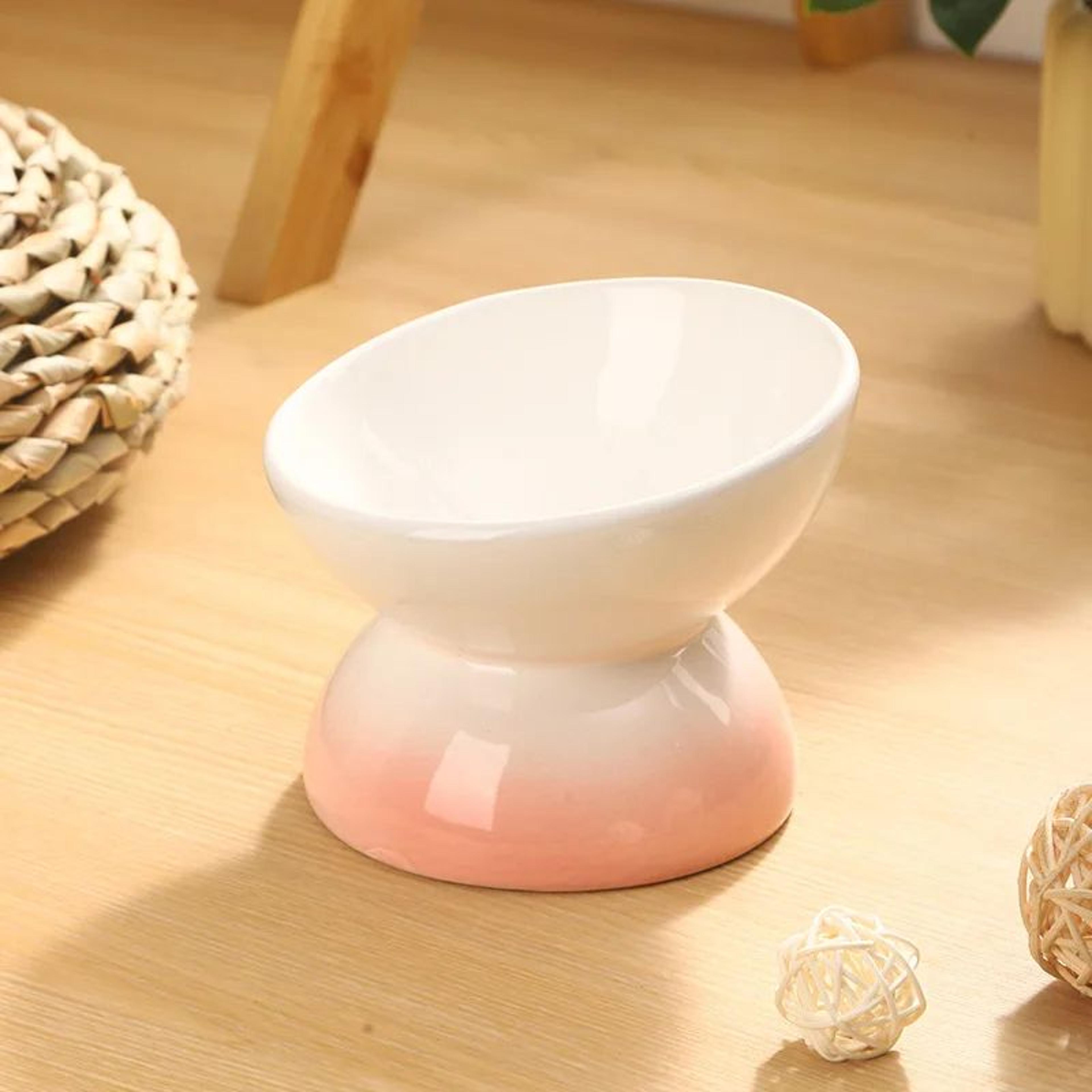 Ceramic Elevated Tilted Cat Feeding Bowl 6