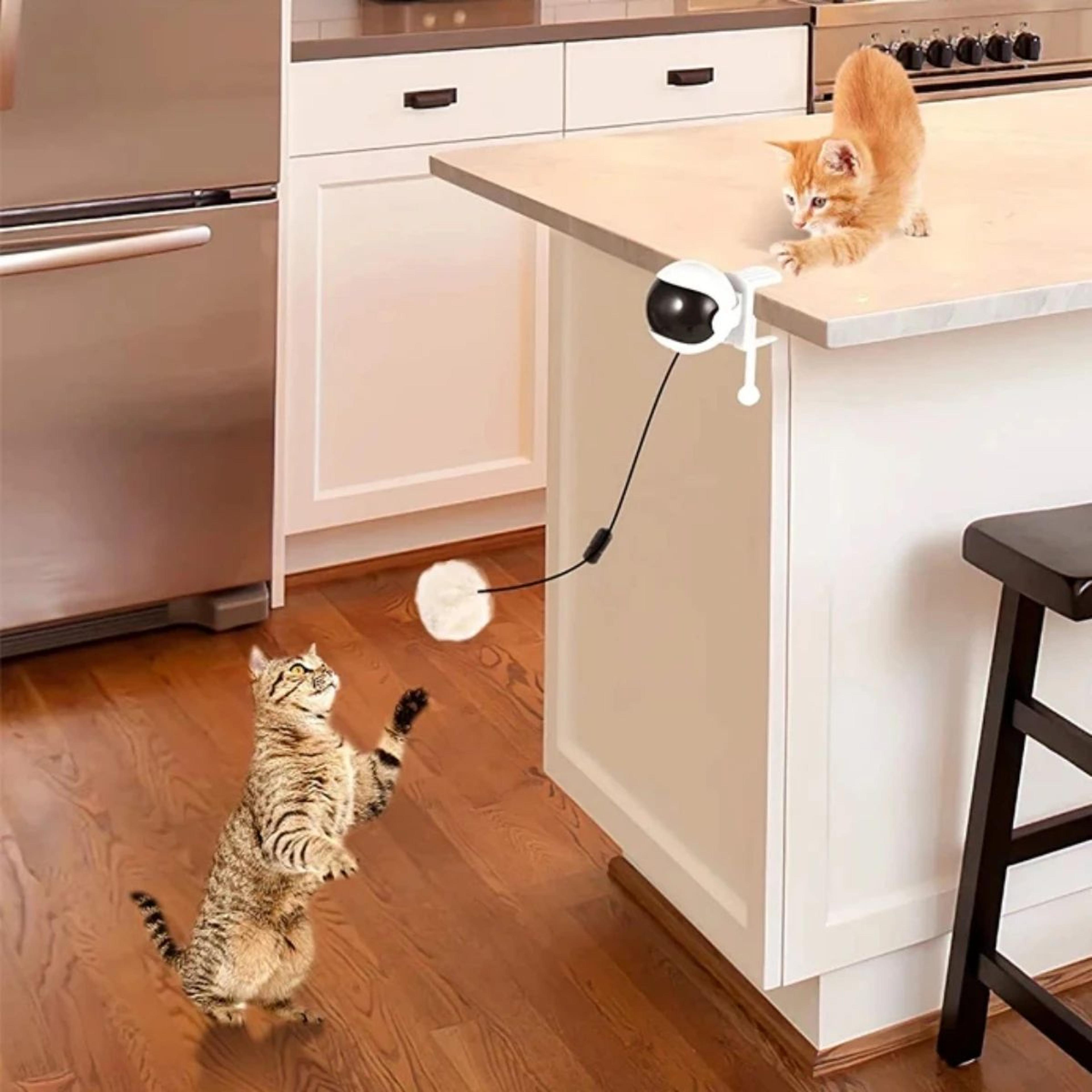 Automatic Retractable Lifting Ball Cat Toy 3