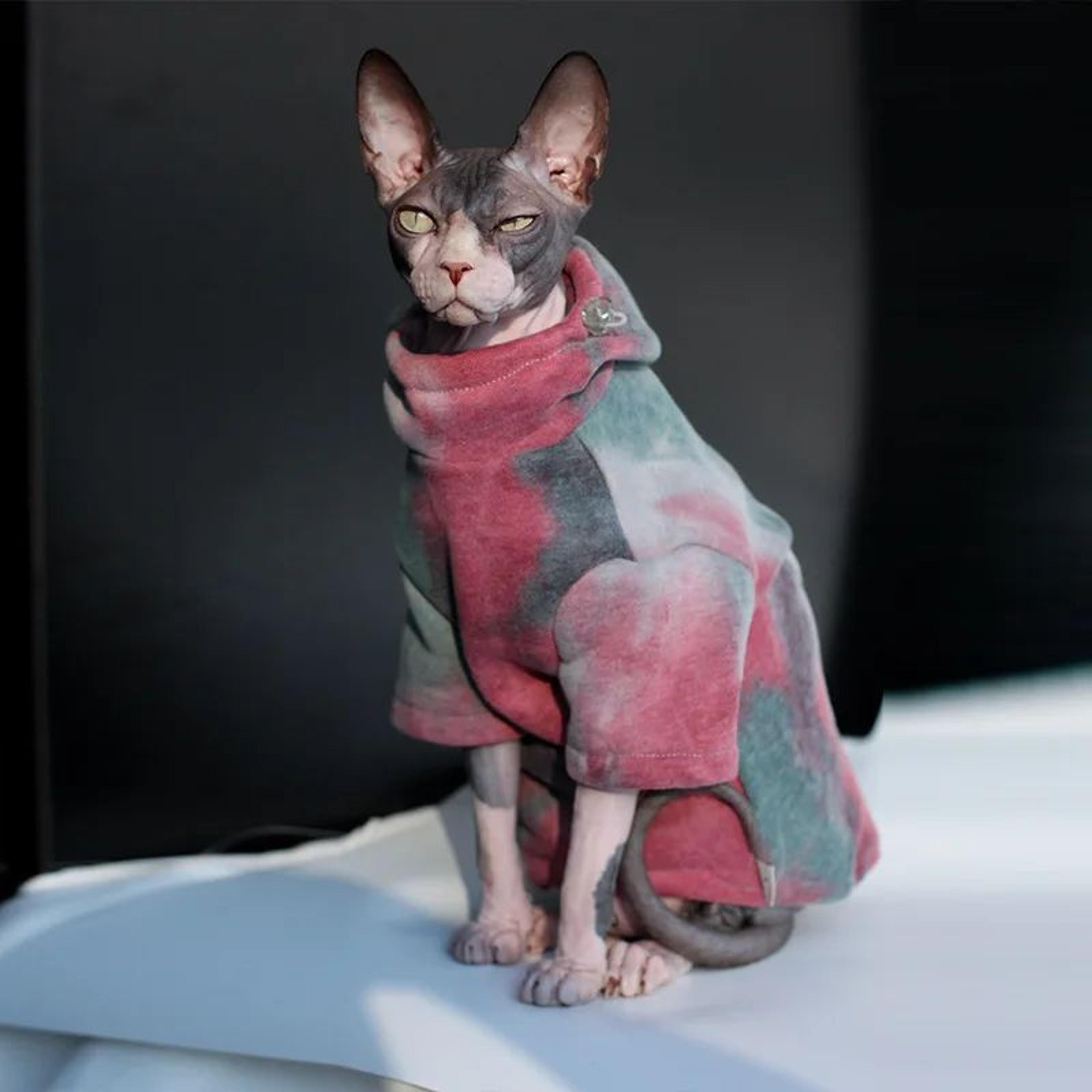 warm fleece sphynx cat hoodie jacket