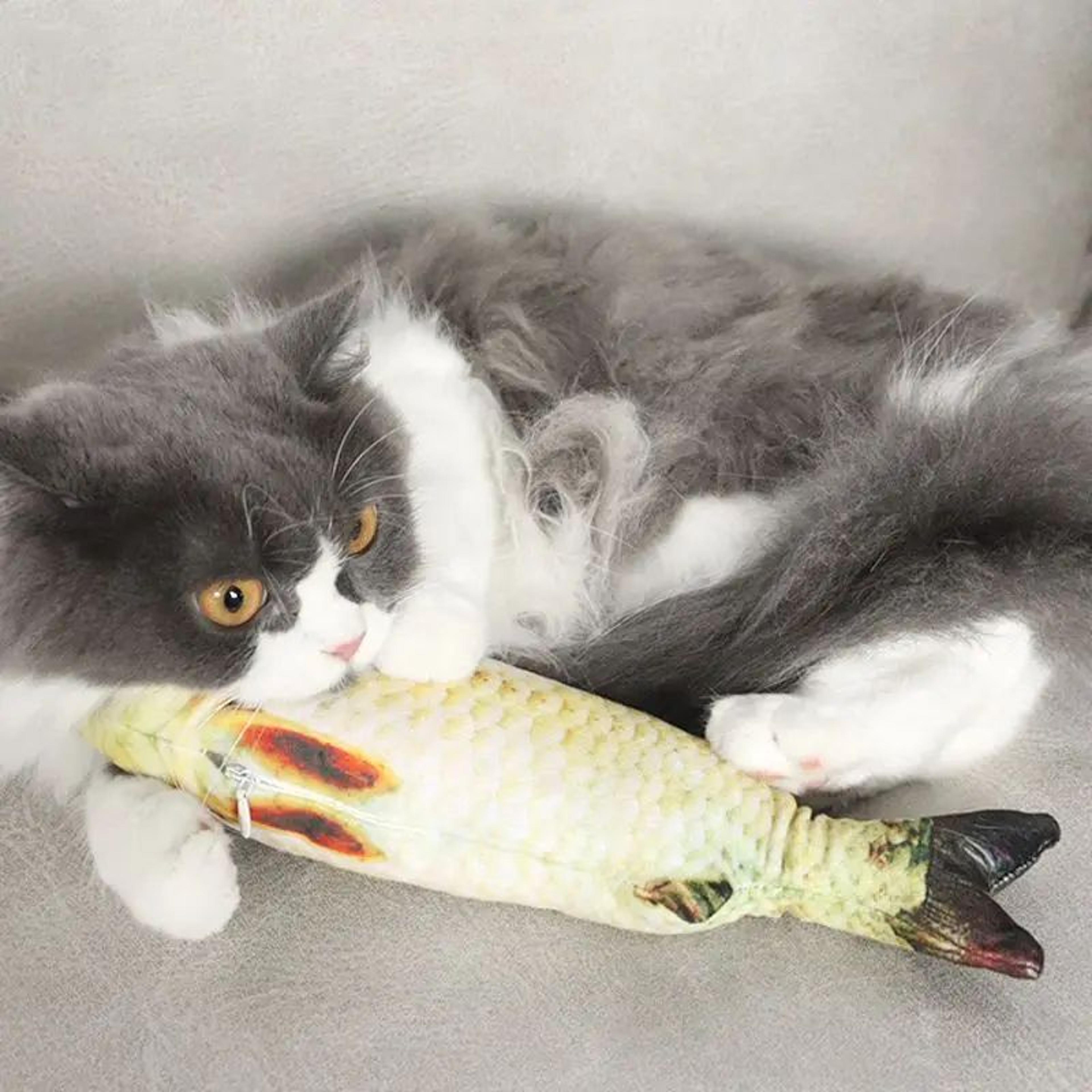 Realistic Fish Catnip Plush Toy For Cats 3