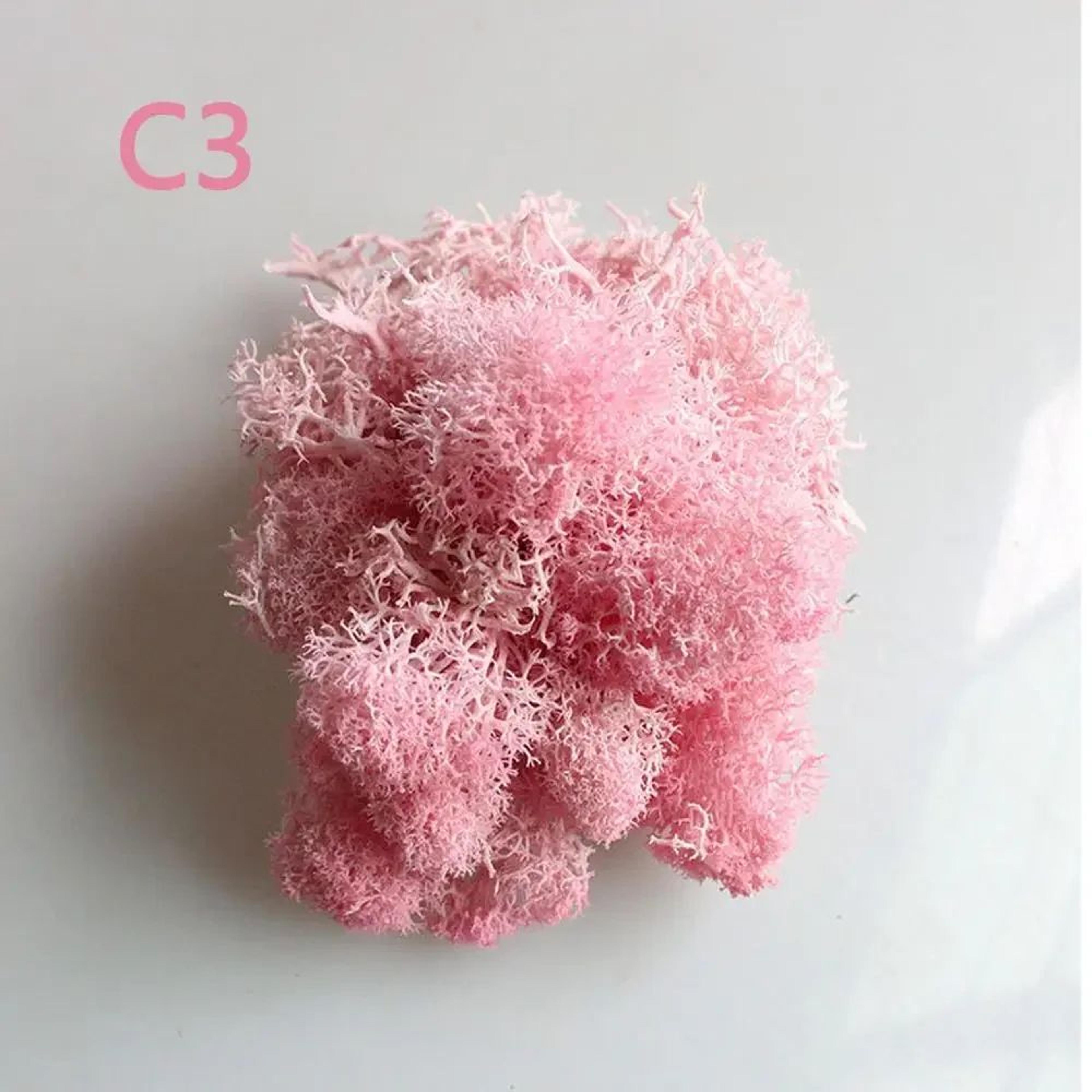 Artificial Eternal Life Moss DIY Decorative Greenery 8