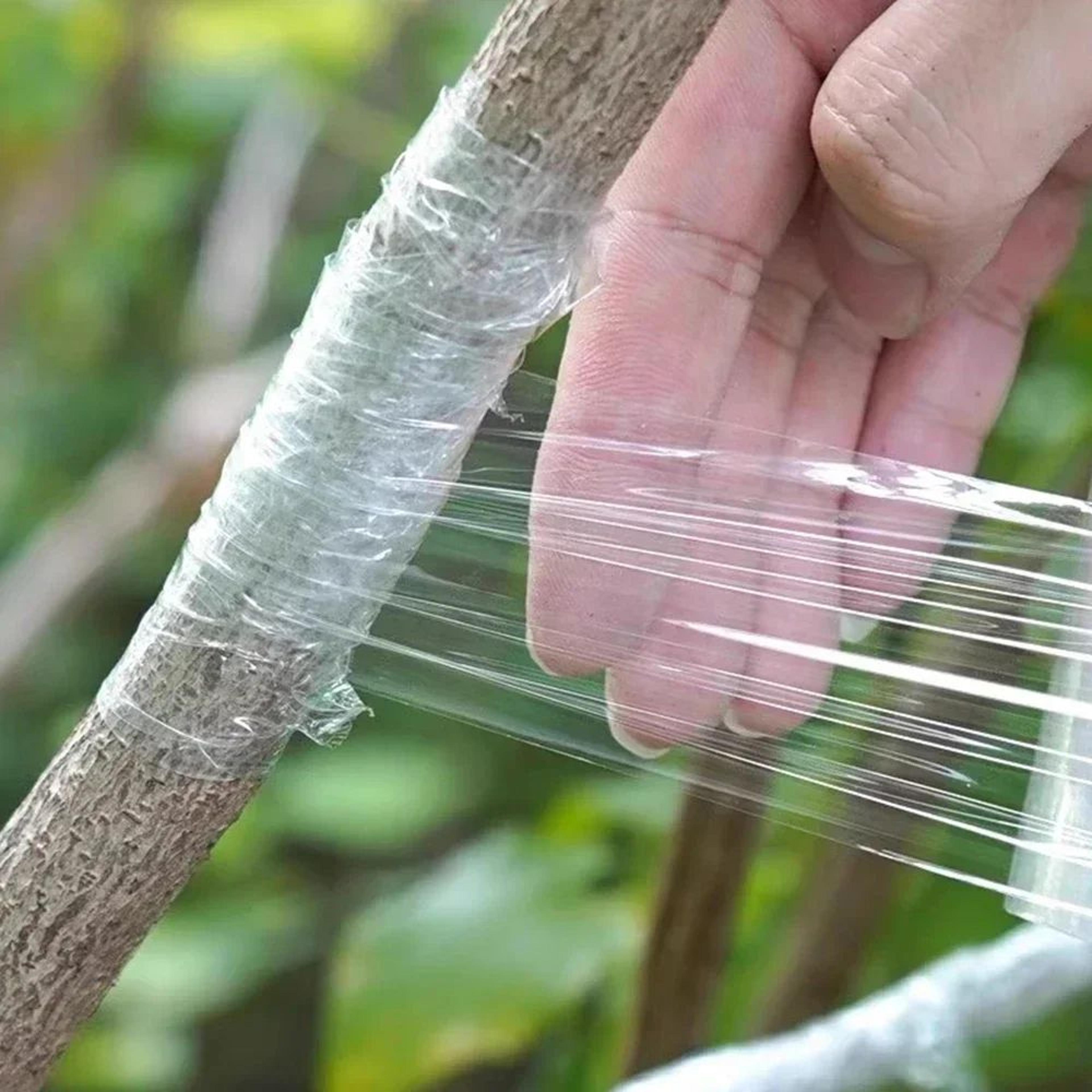 Self Adhesive PE Grafting Tape For Plants 11