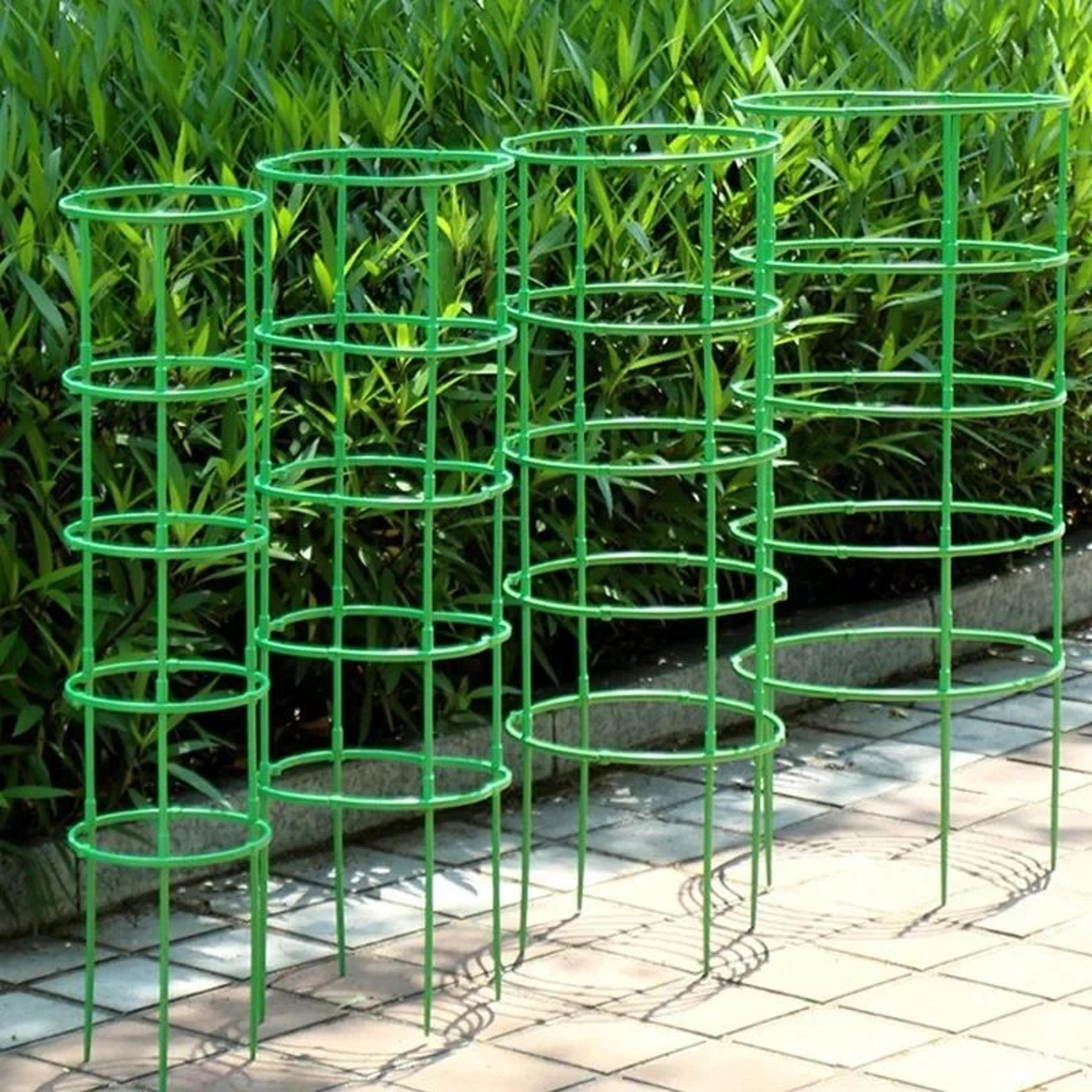 Semicircle Plant Support Frame For Climbing Plants 1