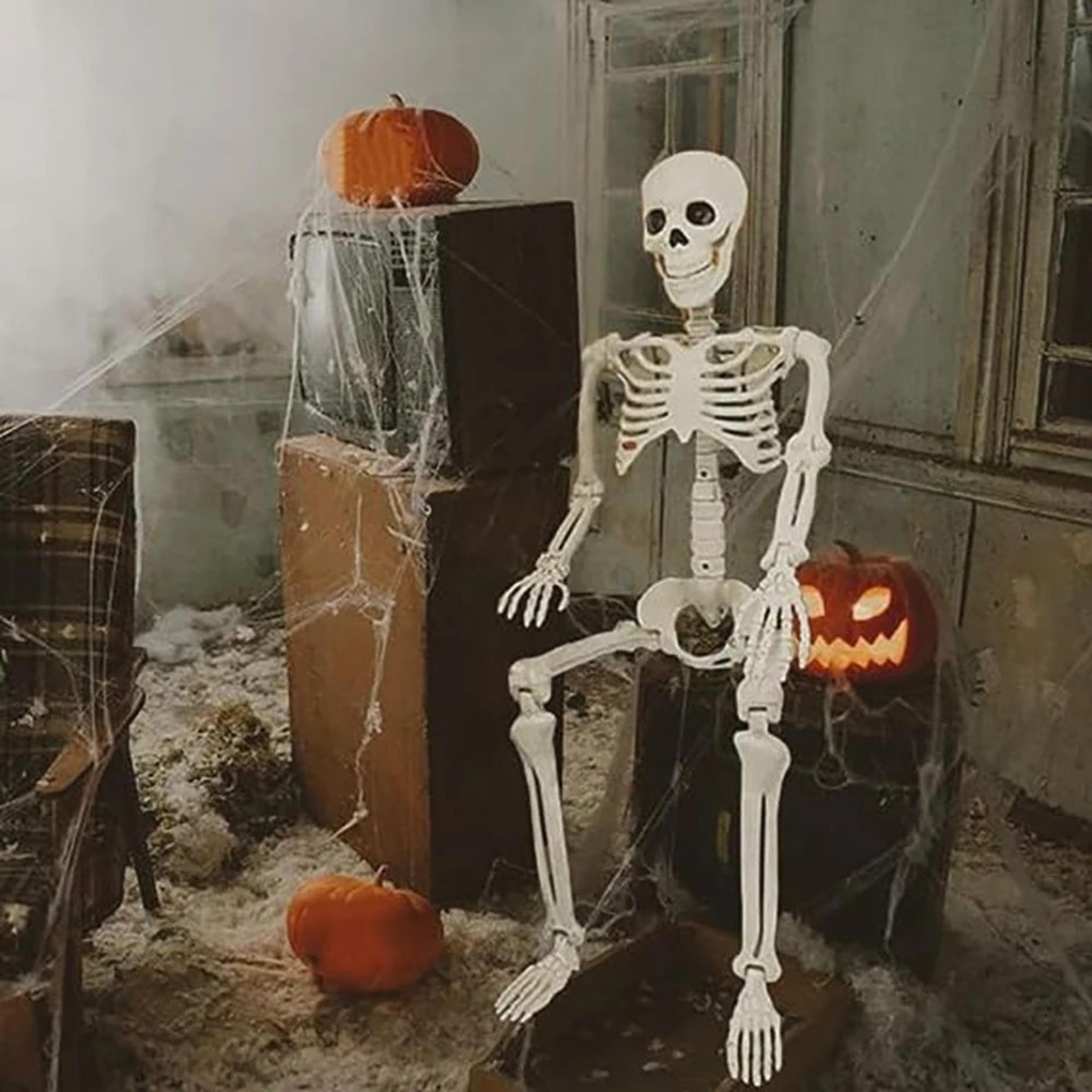 Halloween Posable Human Skeleton Decoration Horror Party Prop 4