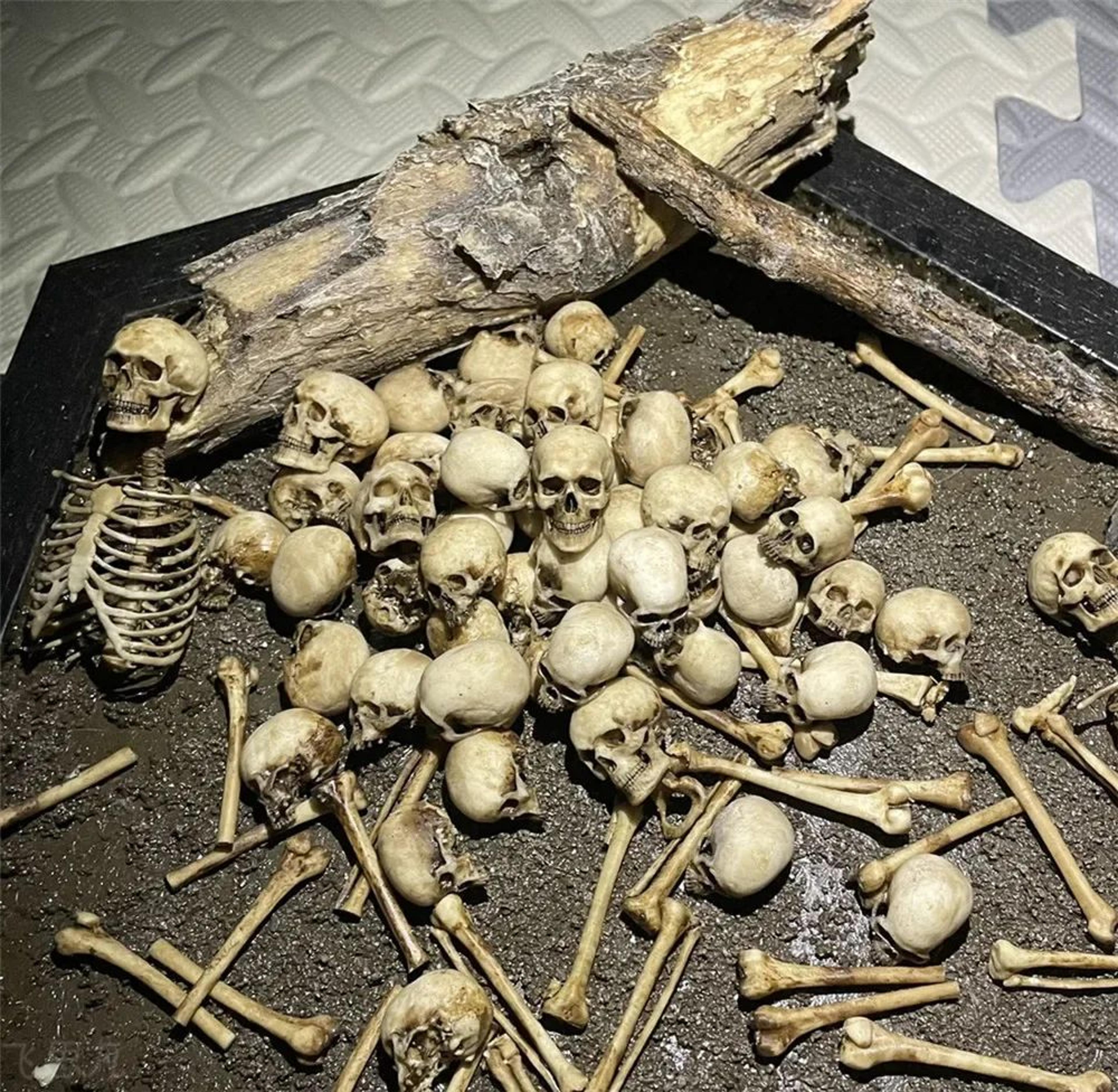 Mini Skeleton Skull Model 1 To 12 Scale Halloween Decoration 3