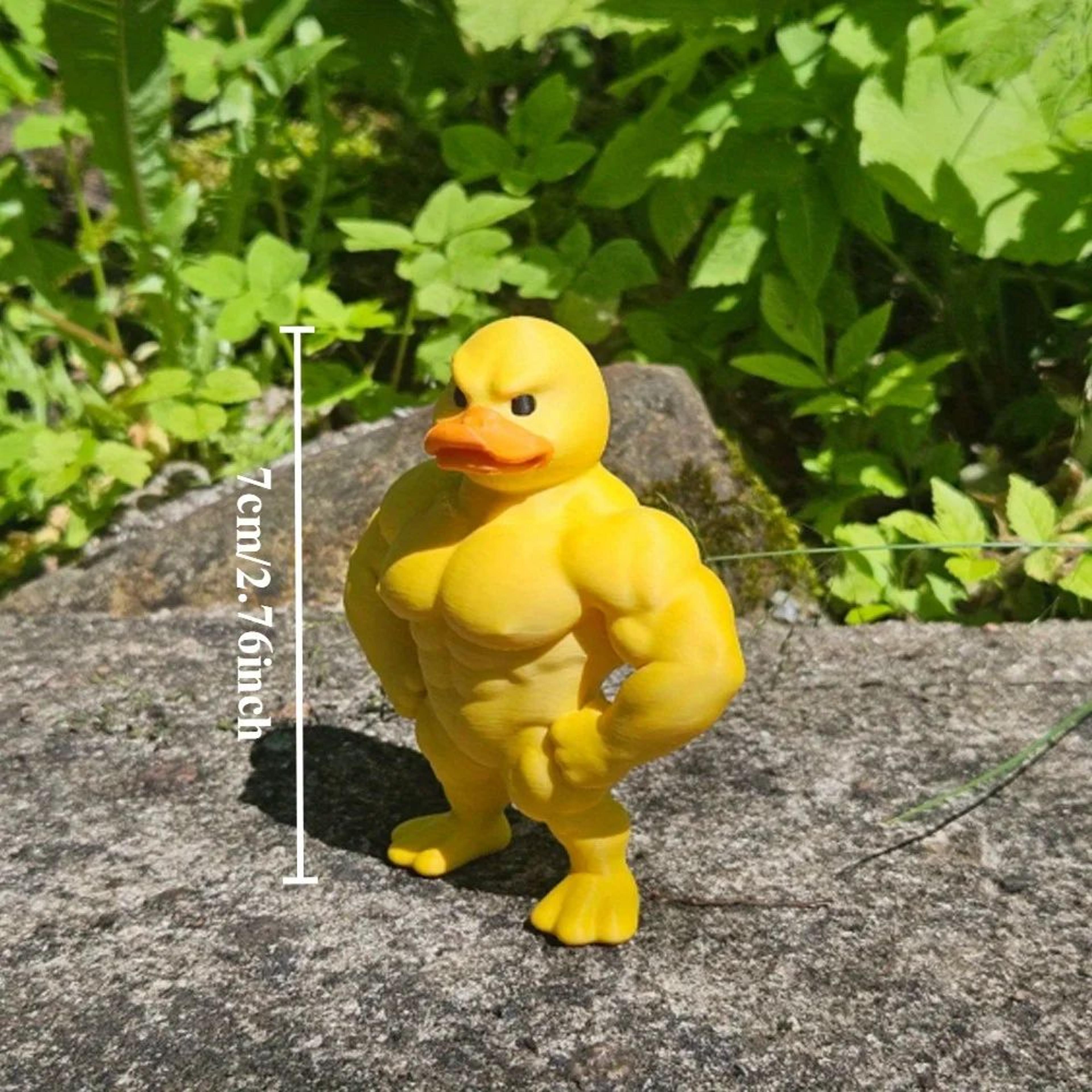 Muscle Duck Resin Desktop Decorative Figurine 2