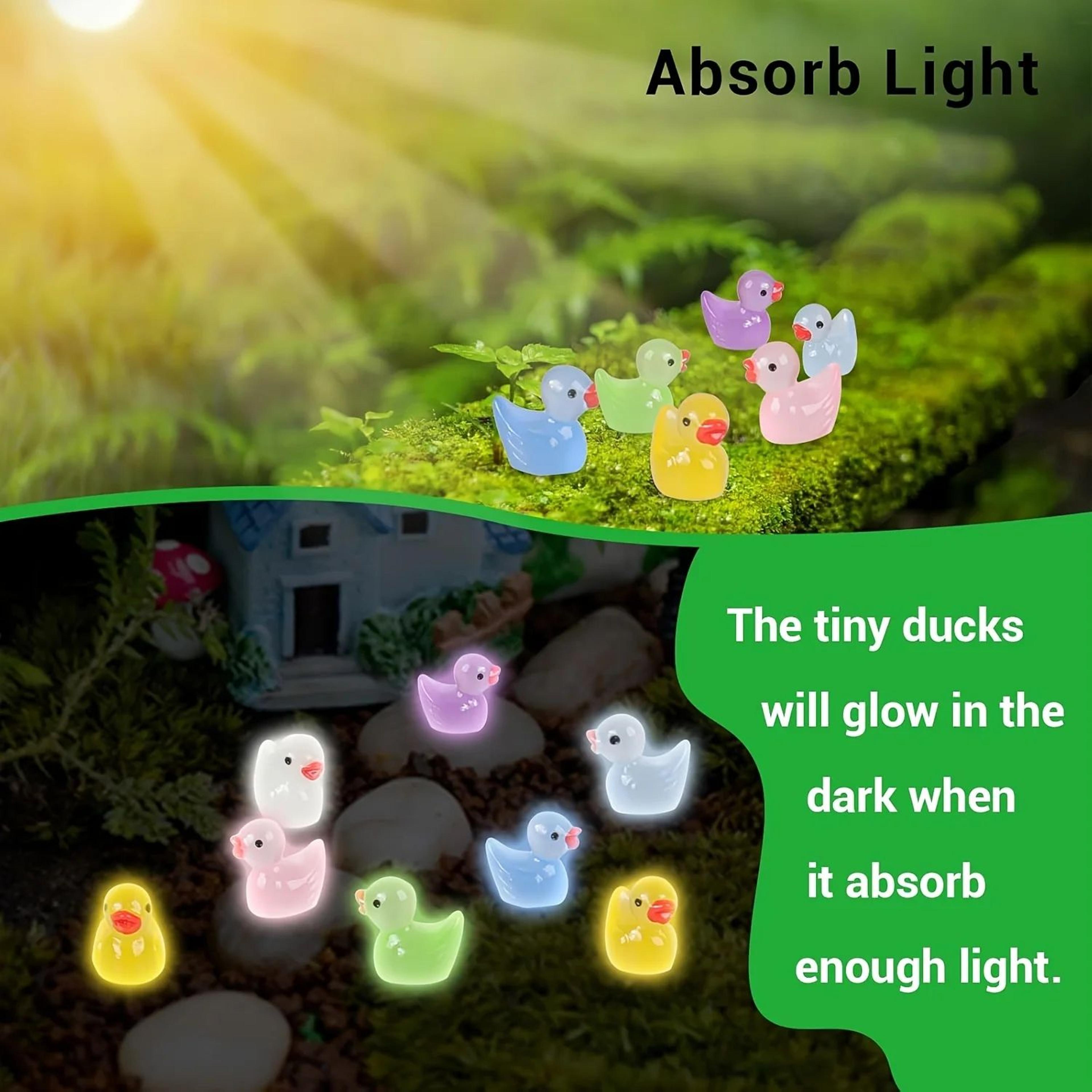 Glow In The Dark Mini Duck Figurines Fairy Garden Set 5
