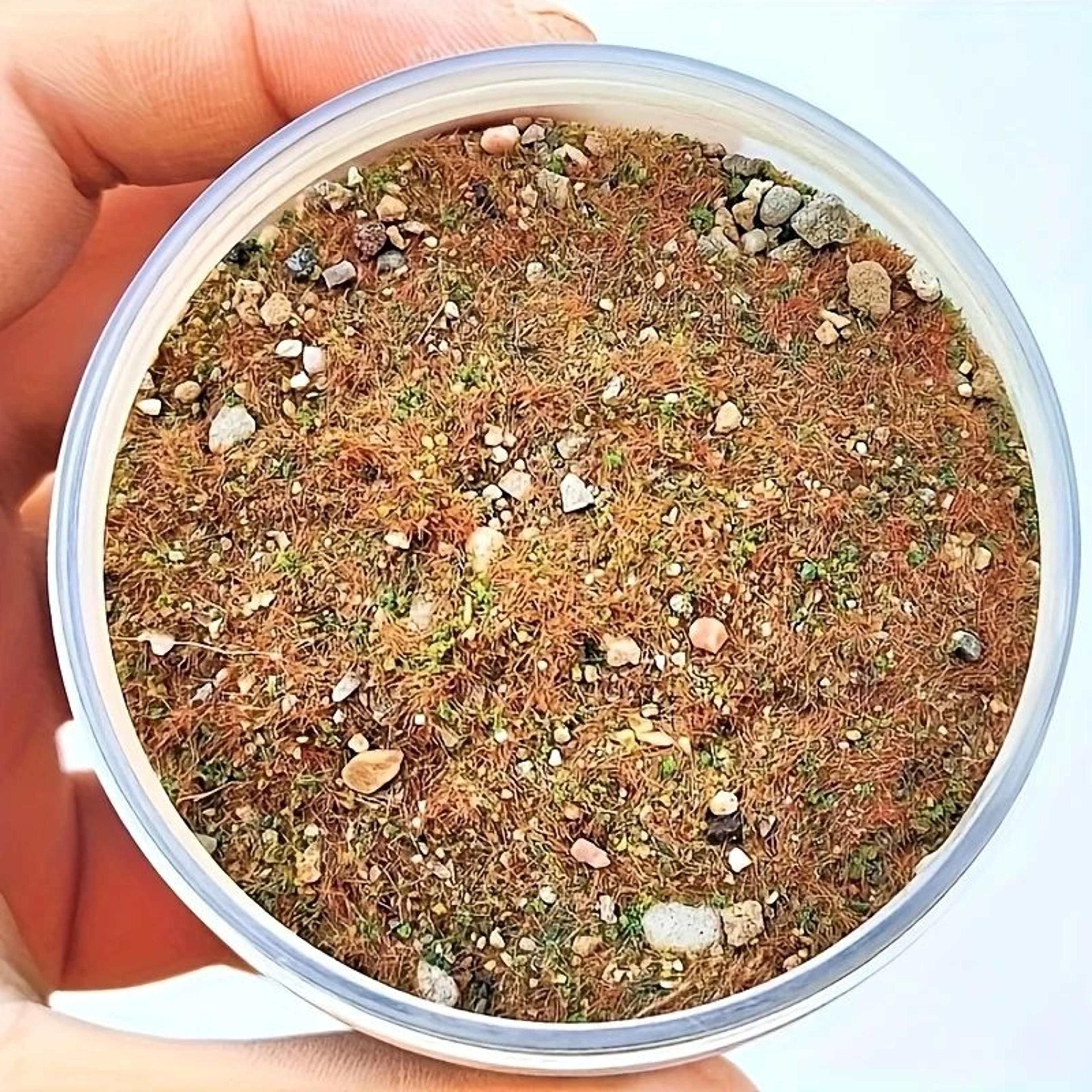 realistic grass and stone miniature scenery mix