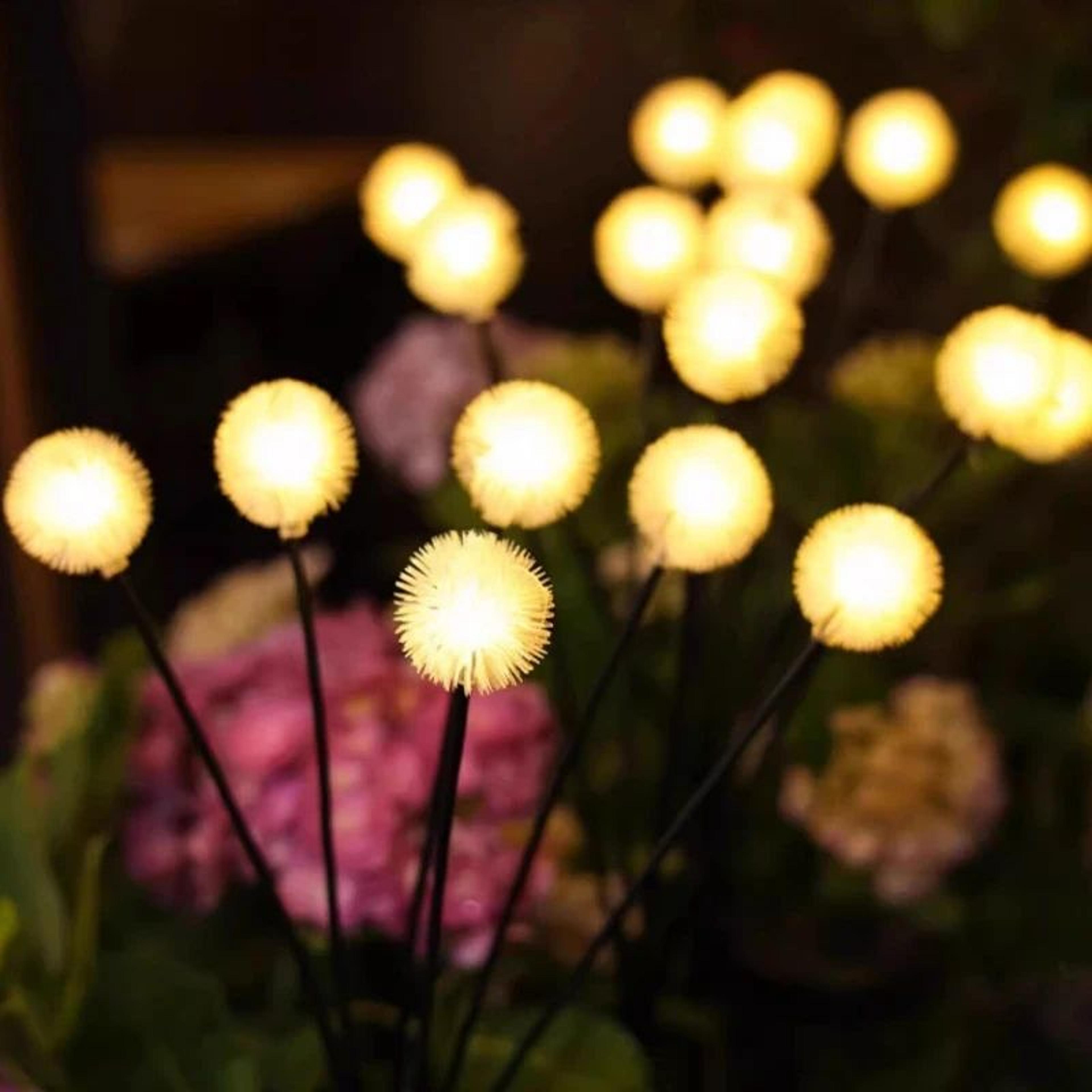 Solar Dandelion Garden Lights 2