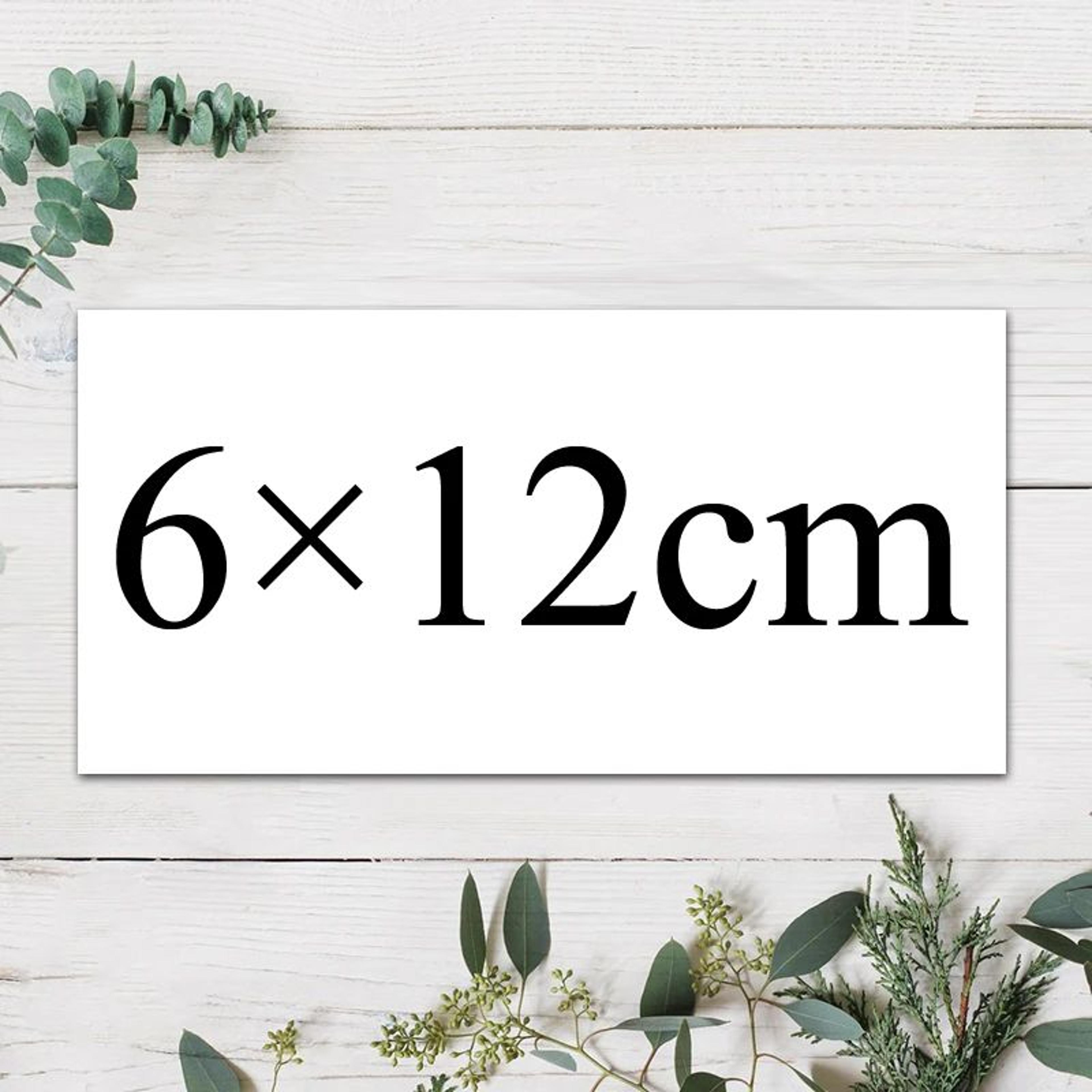 Personalized Rectangle Custom Logo Stickers 10
