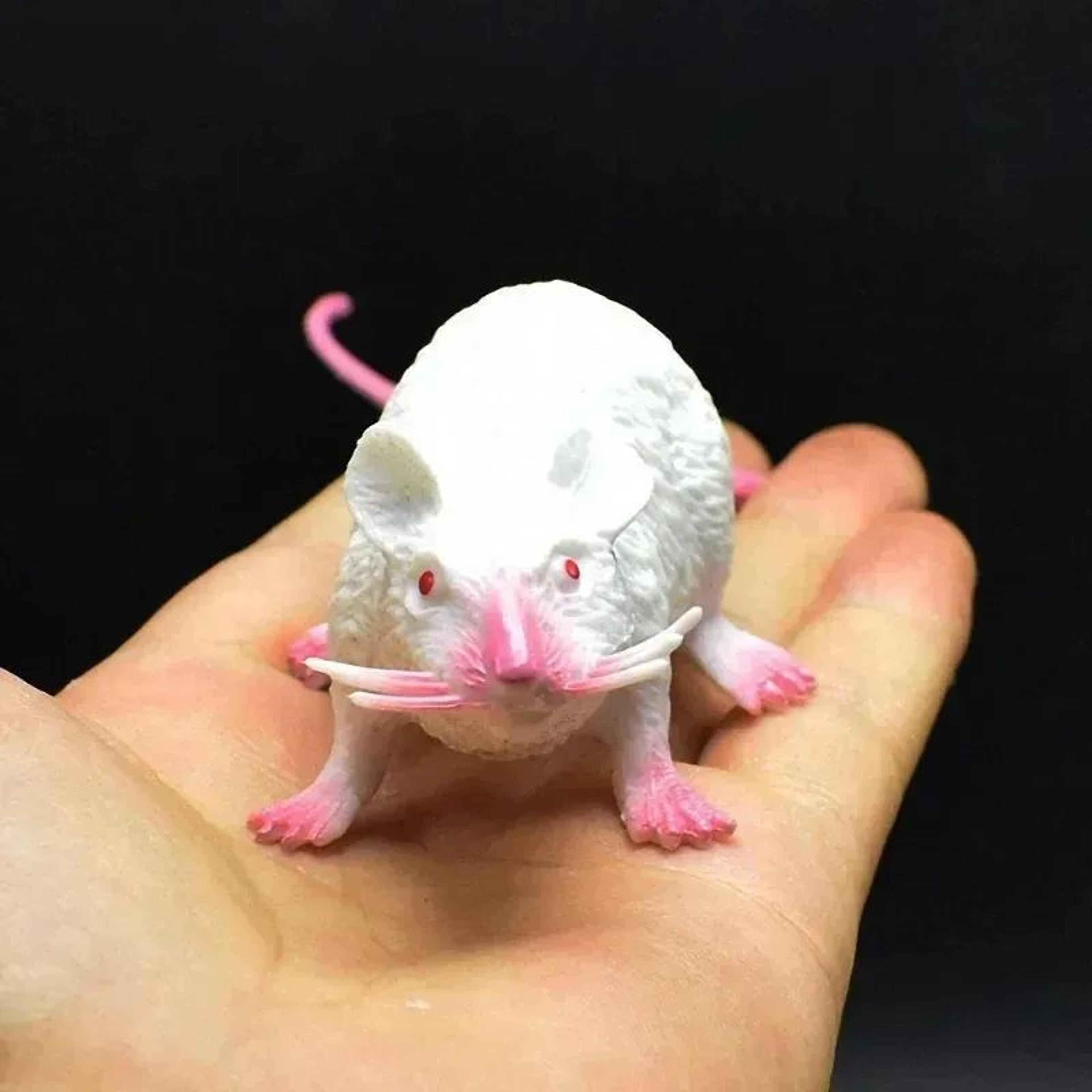 Realistic Simulation Mouse Prank Toy 4