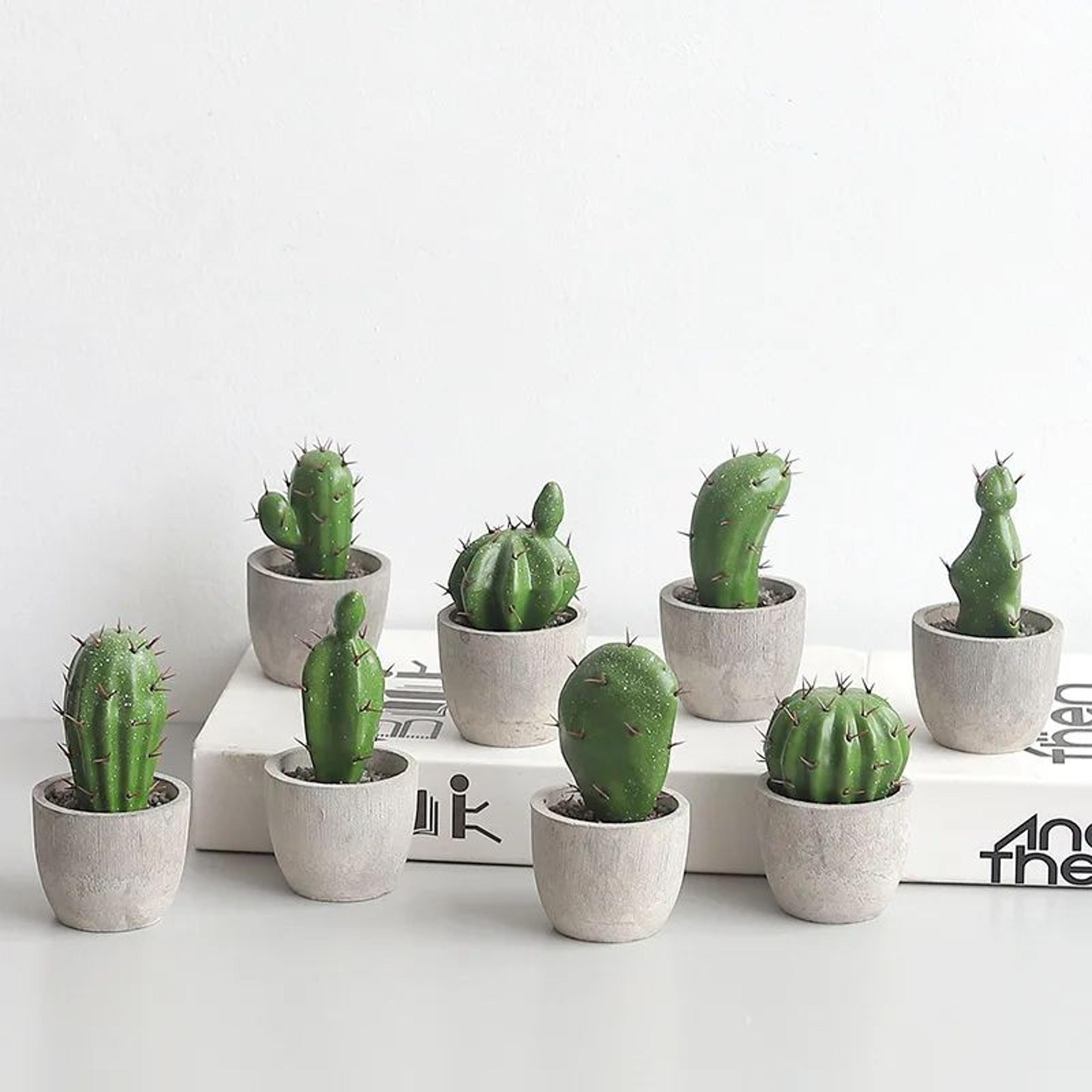 Artificial Cactus Ball Potted Plant Decor 0