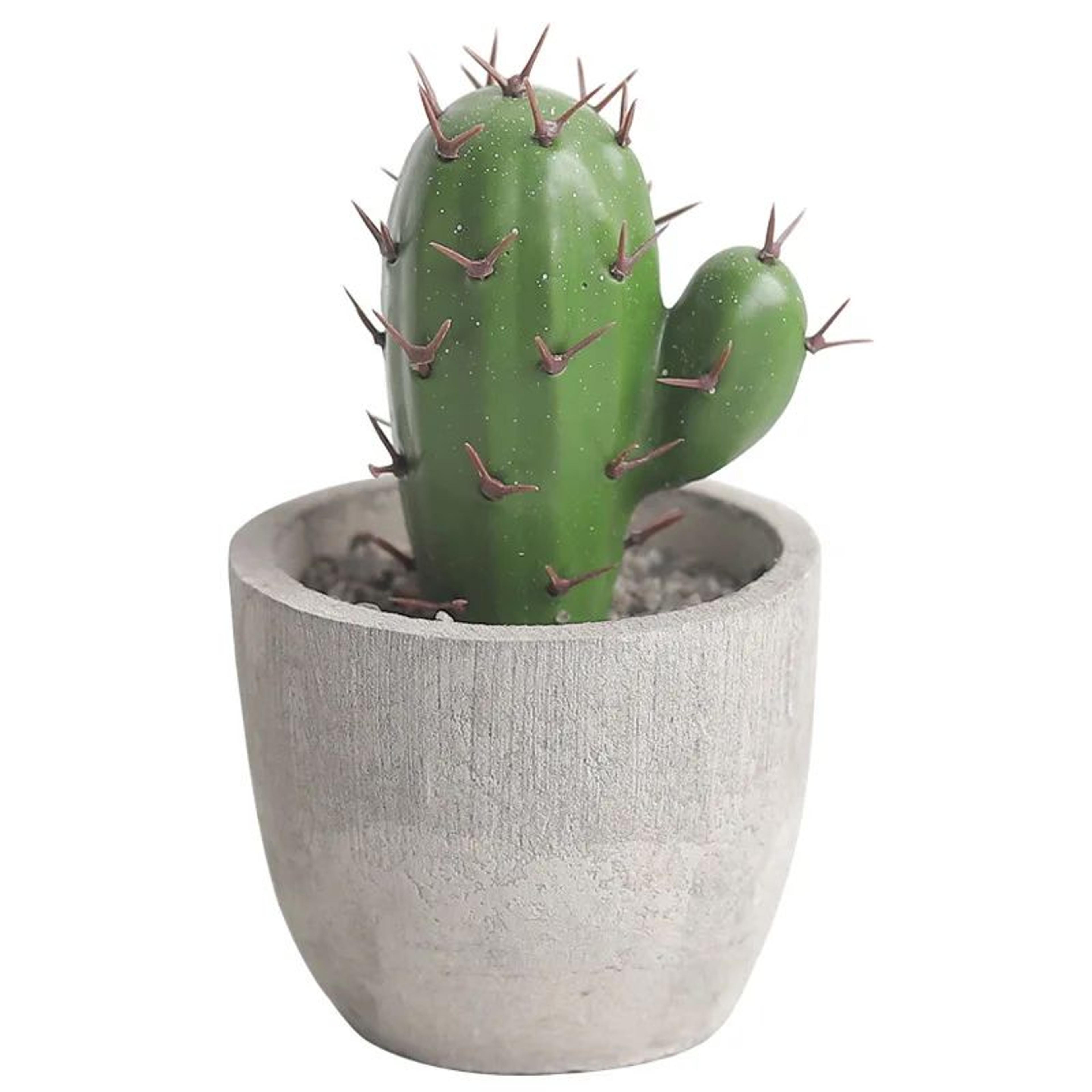 Artificial Cactus Ball Potted Plant Decor 4