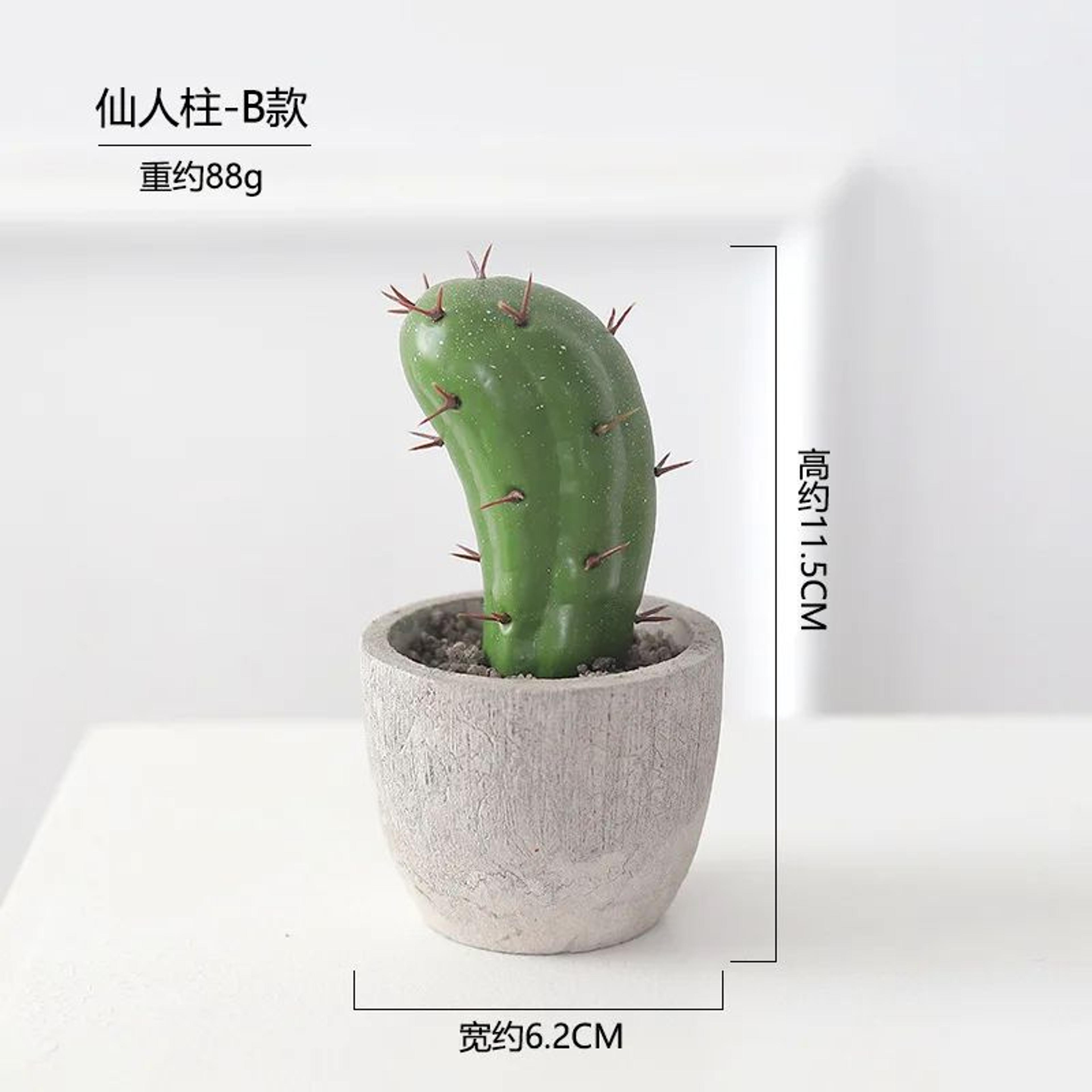 Artificial Cactus Ball Potted Plant Decor 11