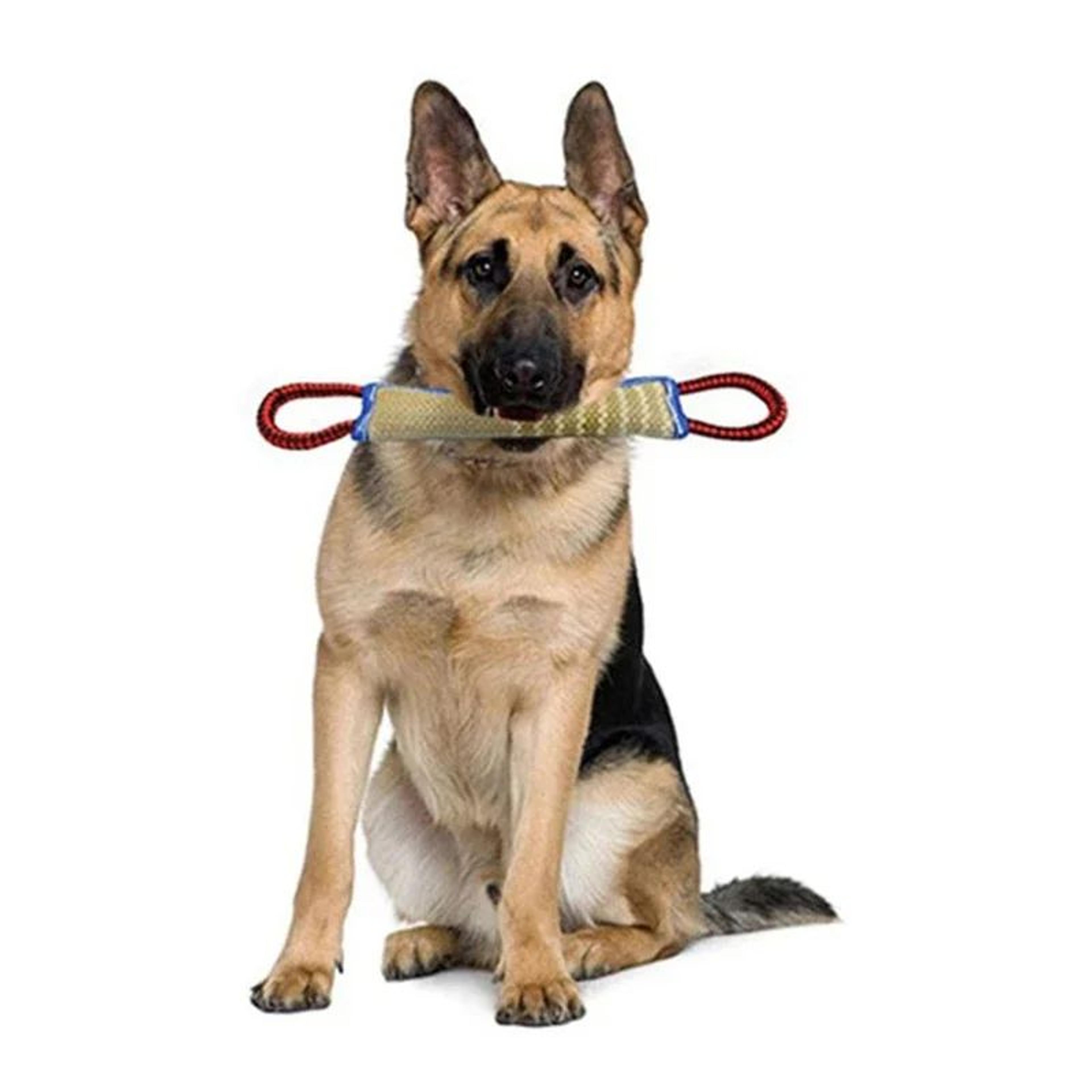 Durable Jute Dog Bite Training Tug Pillow 4