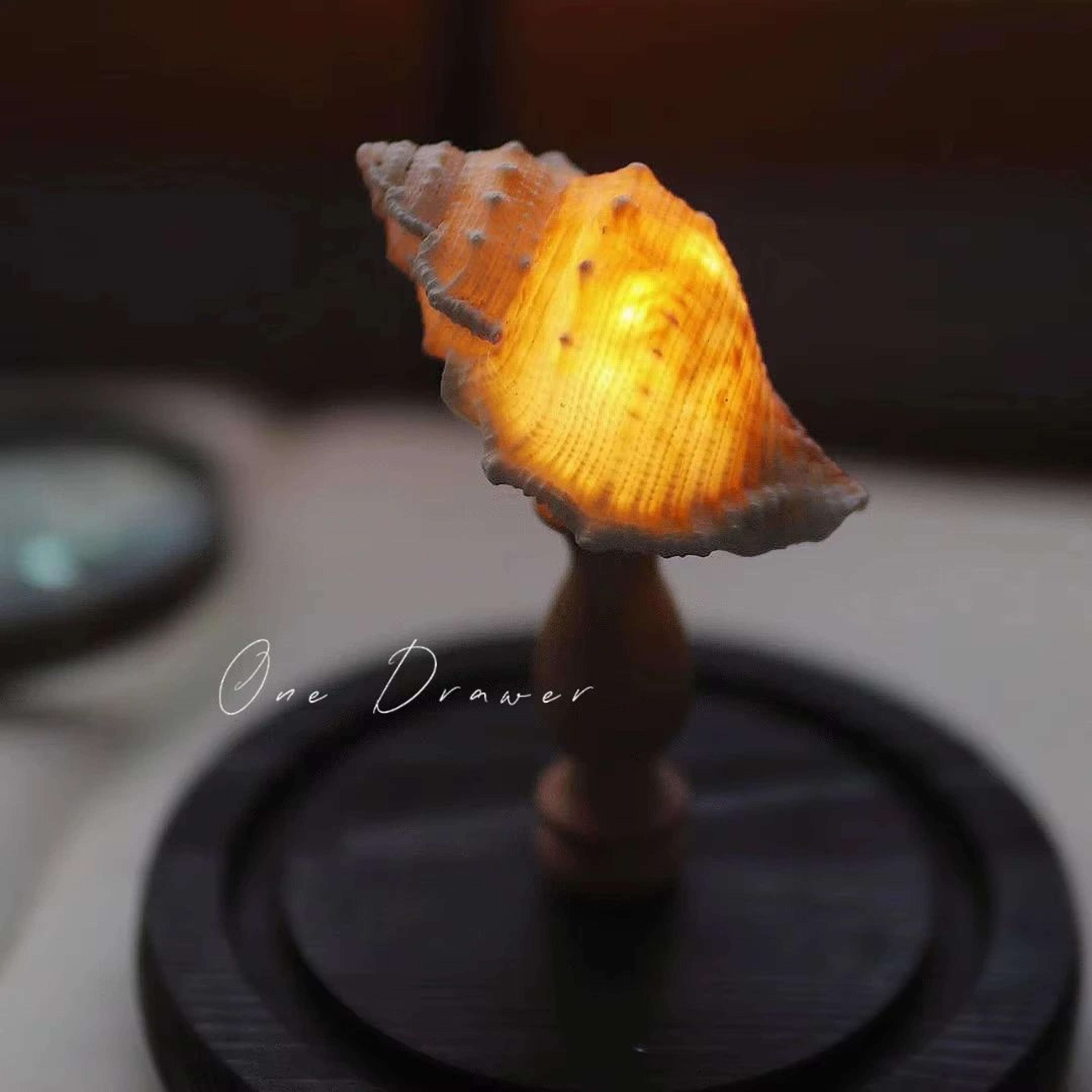 DIY Sea Creature Mushroom Night Light With Shell And Conch Decor 1