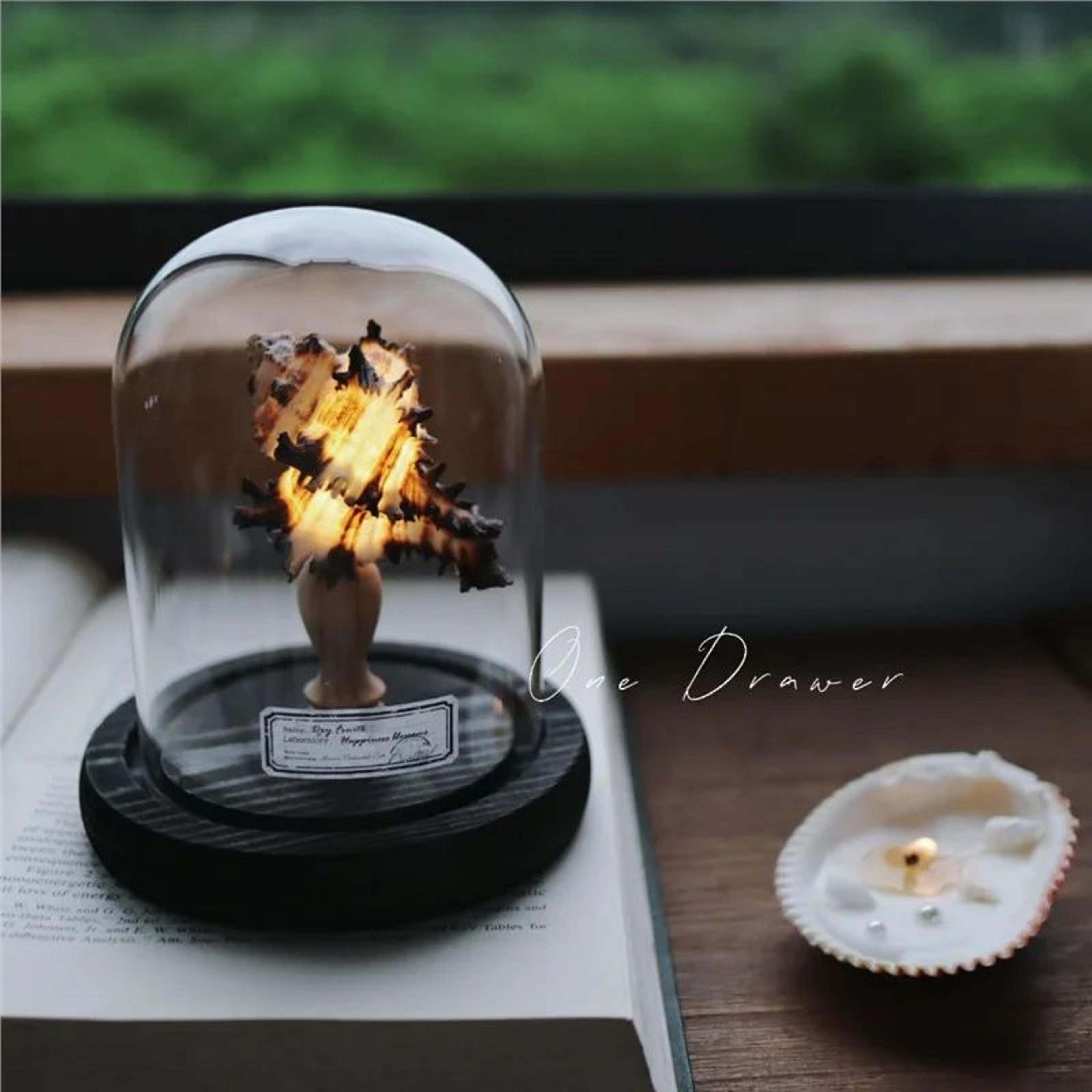 DIY Sea Creature Mushroom Night Light With Shell And Conch Decor 9