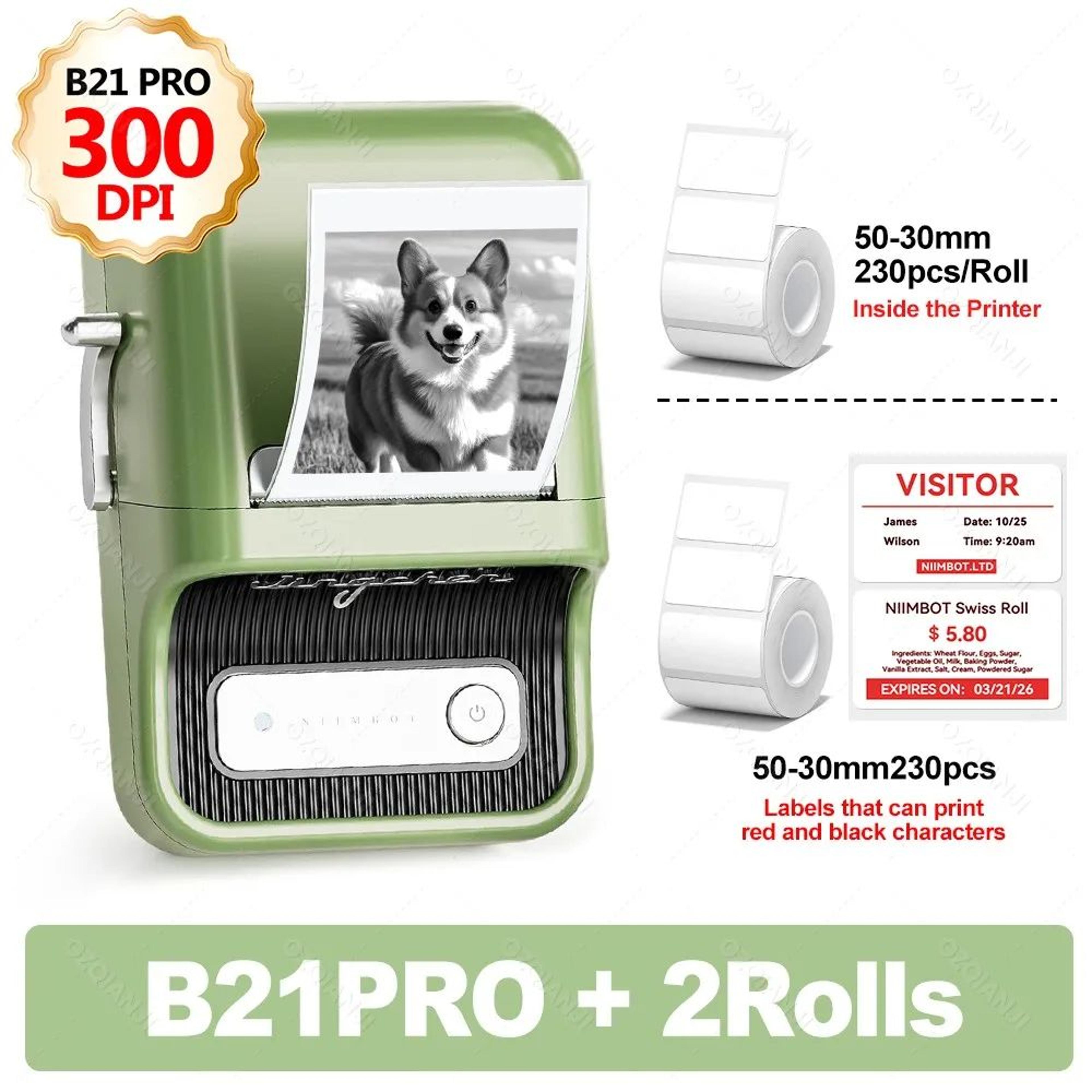NIIMBOT B21 Pro Wireless 300 DPI Dual Color Thermal Label Printer 12