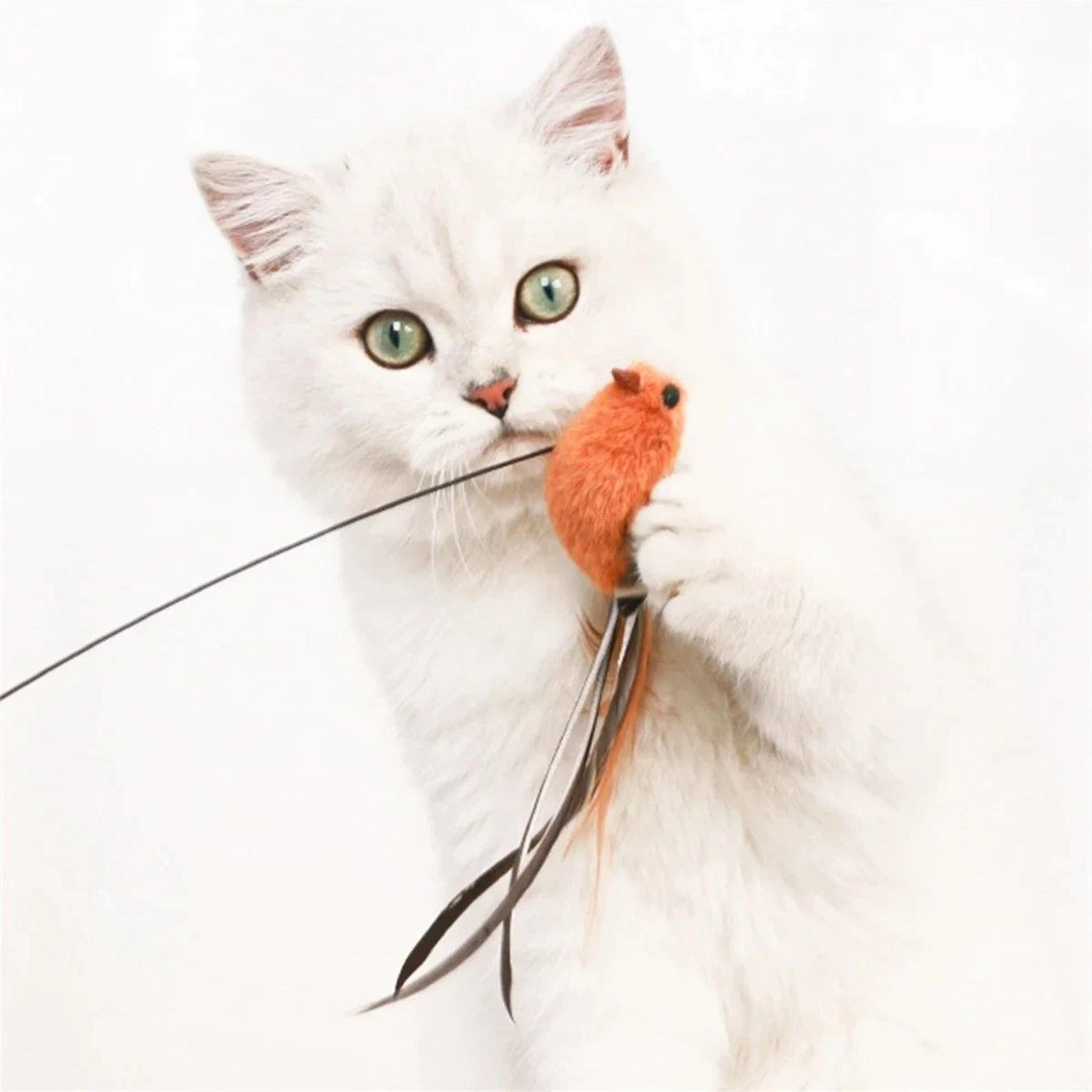 FeatherBird Interactive Cat Wand Premium SuctionStick Teaser For Confident Indoor Cats 4
