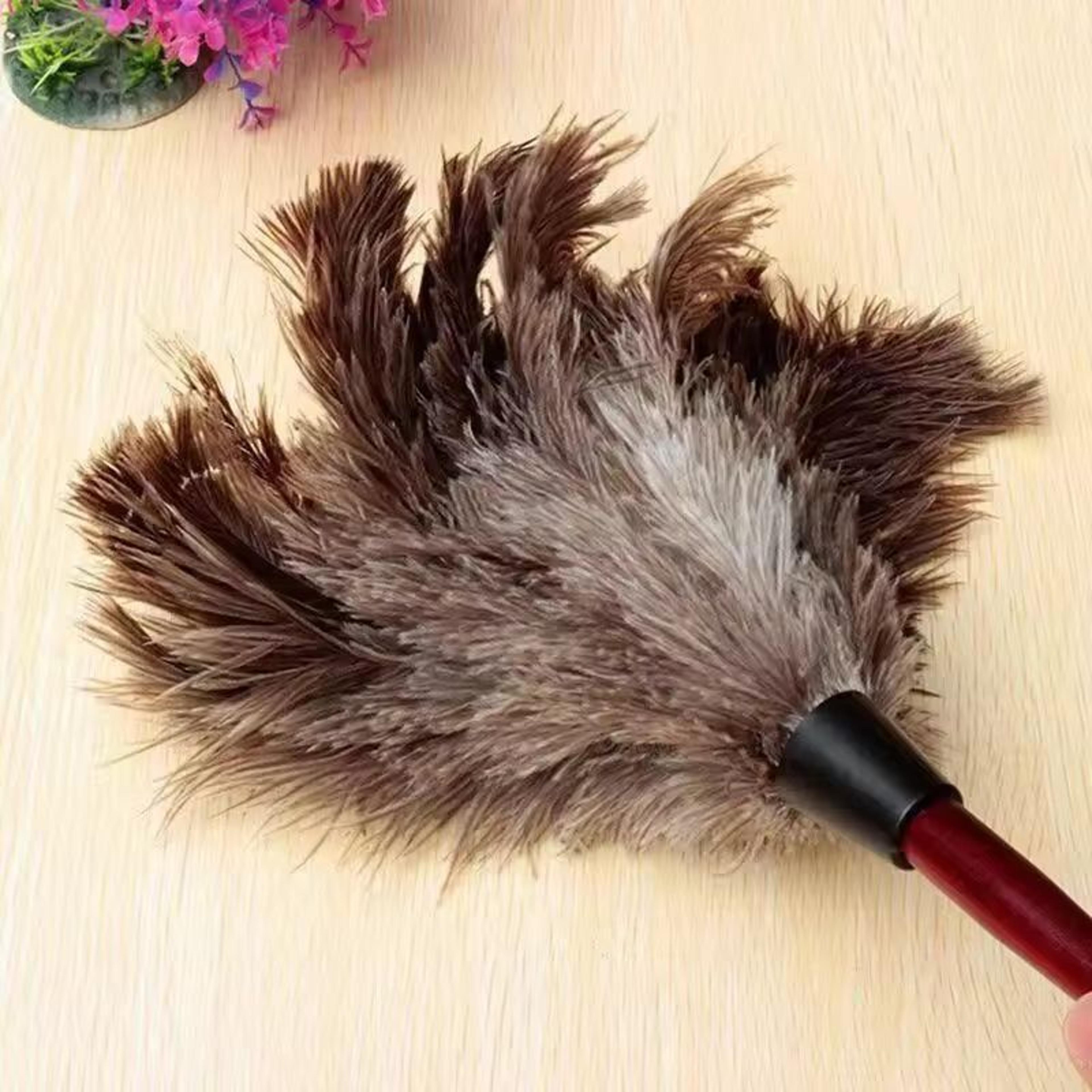 Premium WoodenHandle Ostrich Feather Duster  AntiStatic Home Dust Brush 0