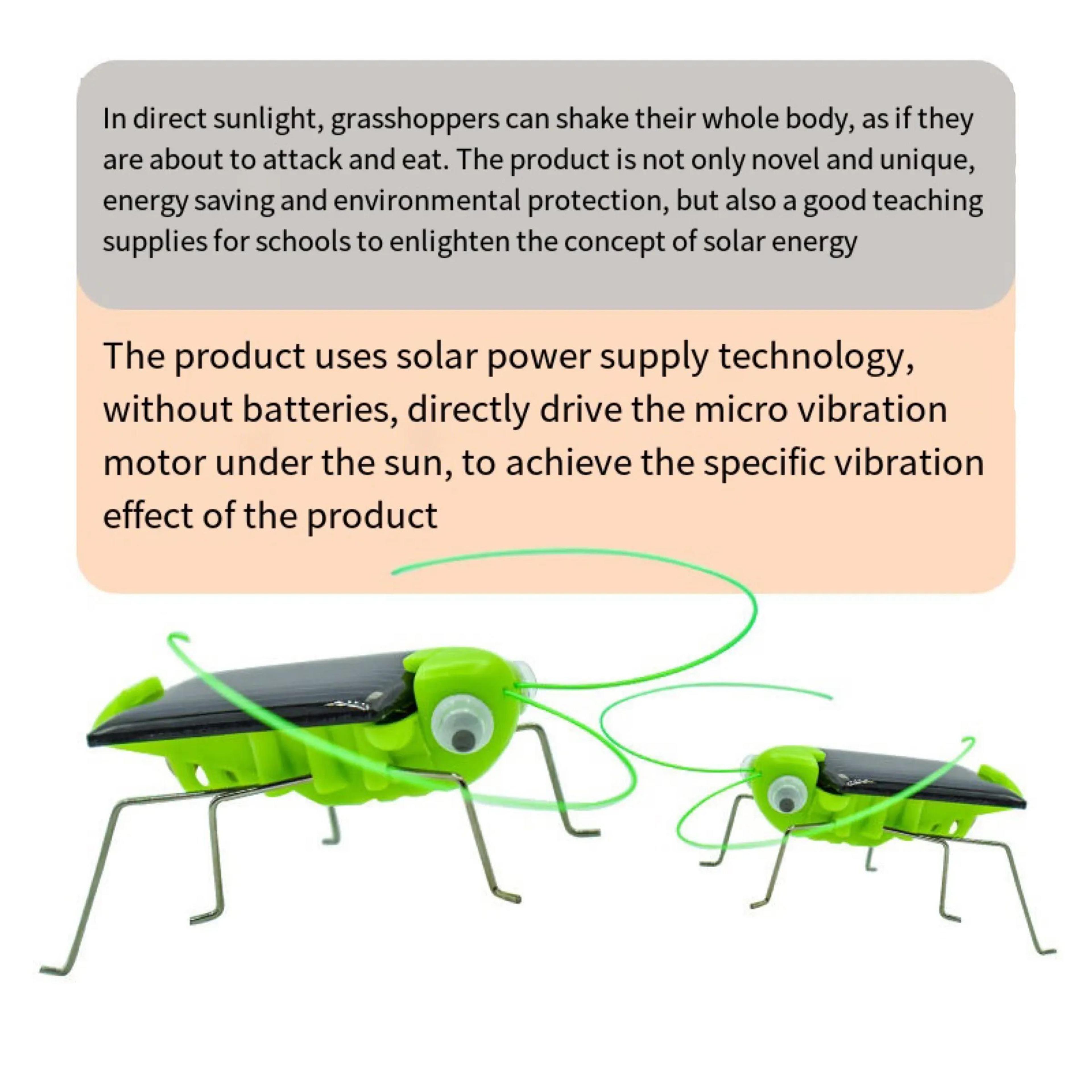 SolarPowered Grasshopper Motion Toy  Educational Solar Powered Toy For Kids Interactive Insect Toy  2