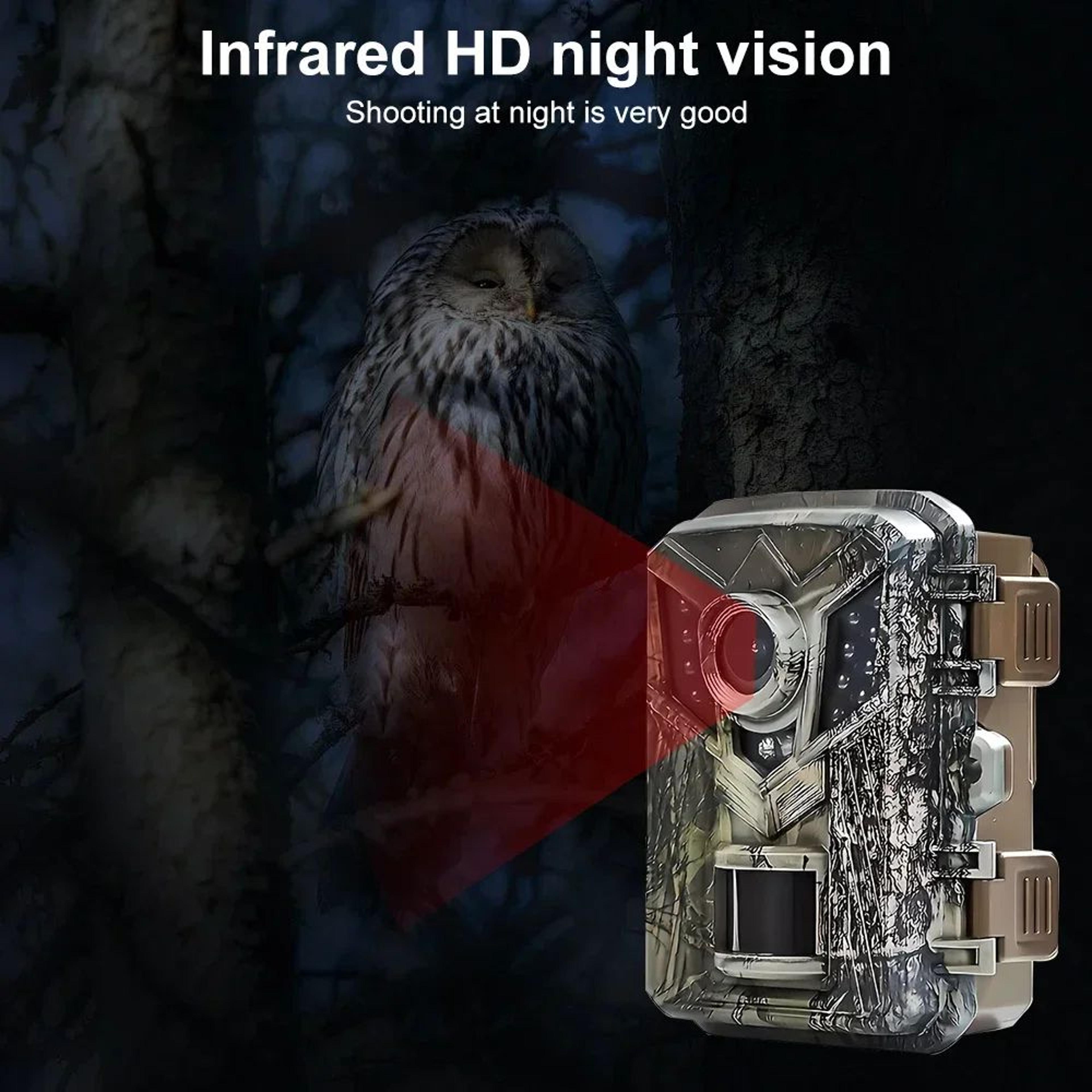 Compact NoGlow HD Trail Camera For Wildlife  Property Monitoring 3