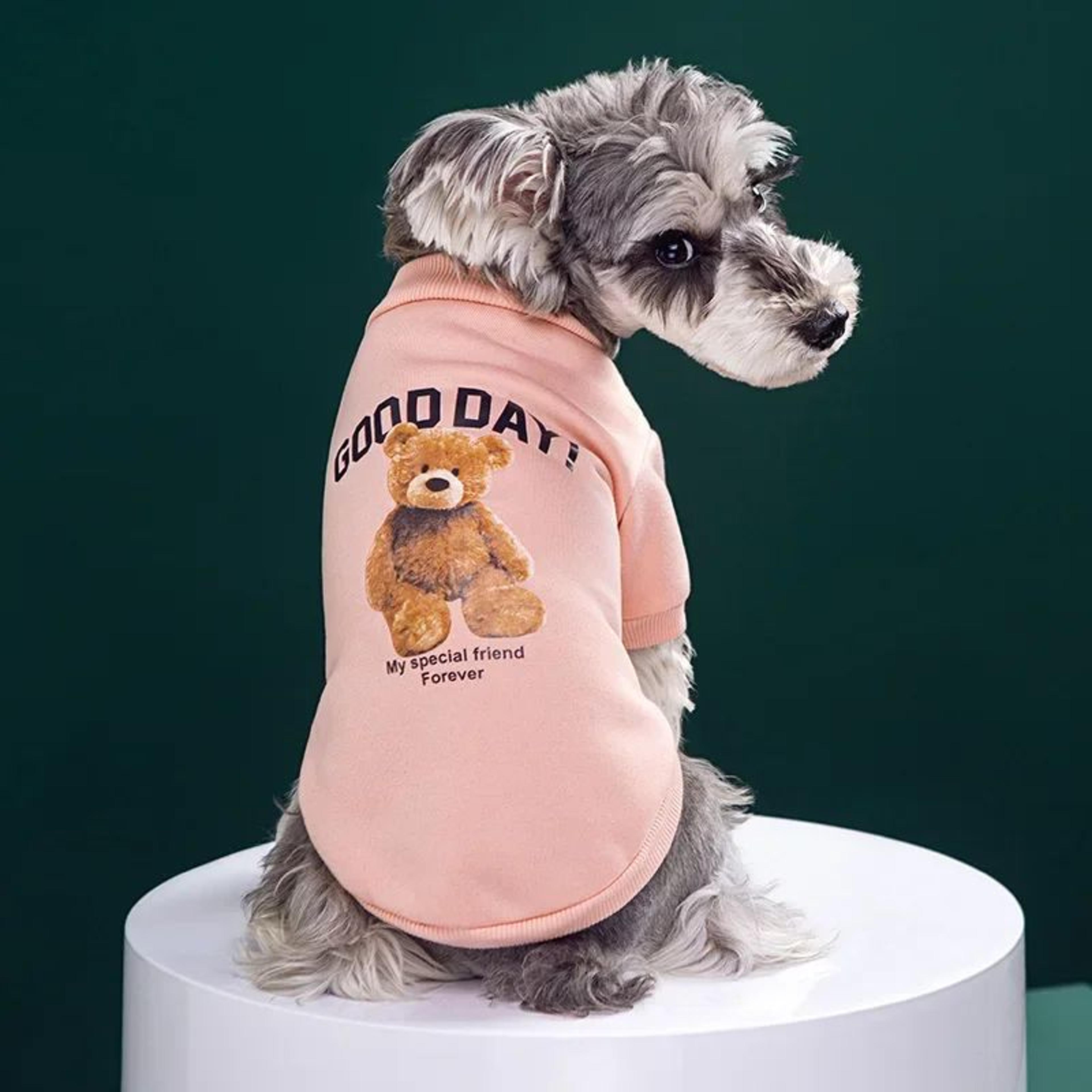 Cozy Bear Winter Dog Sweater  Warm Pullover Jacket For Small  Medium Pets 8