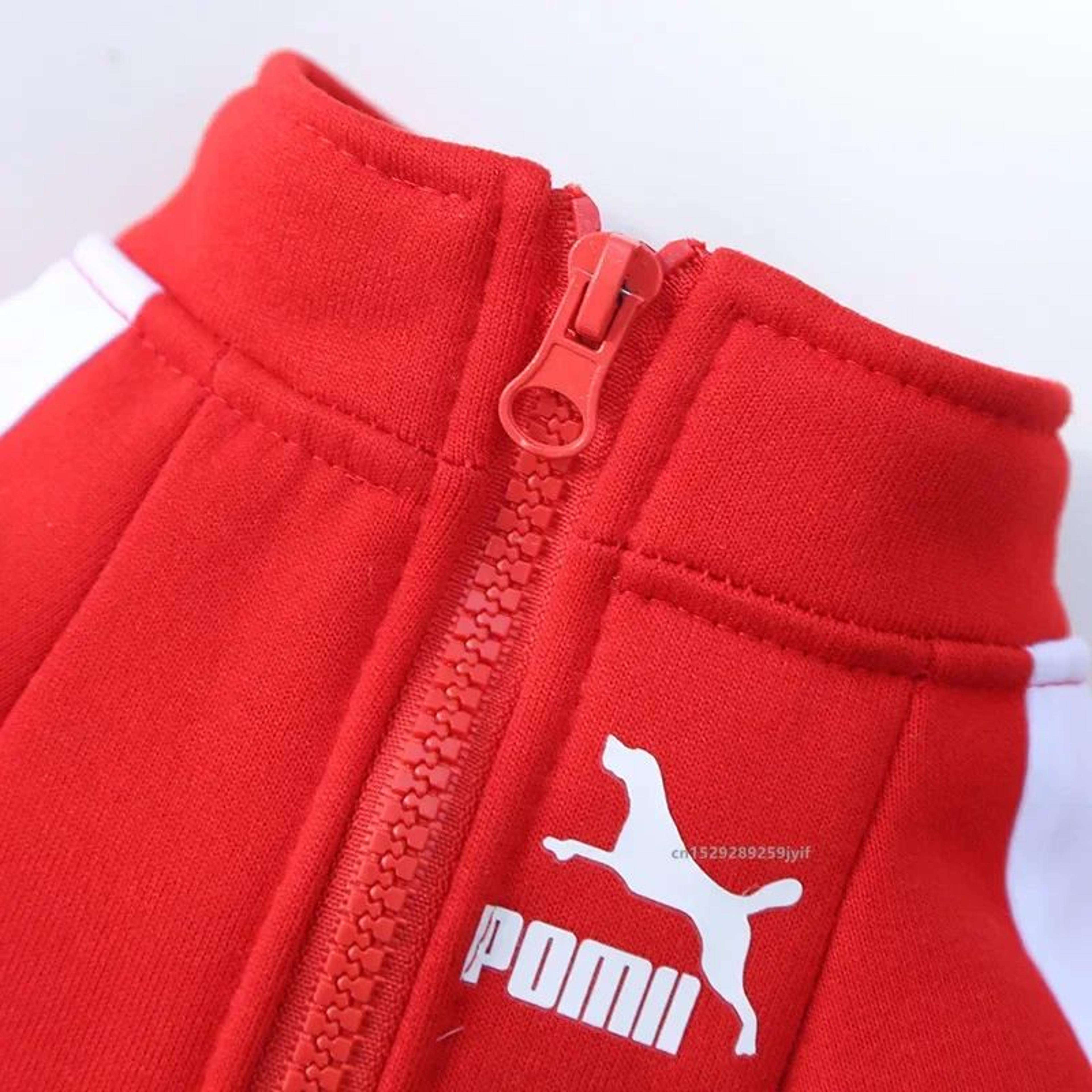 Winter Baseball Dog Jacket For Small  Medium Dogs  Warm Puppy Pet Vest Coat 3