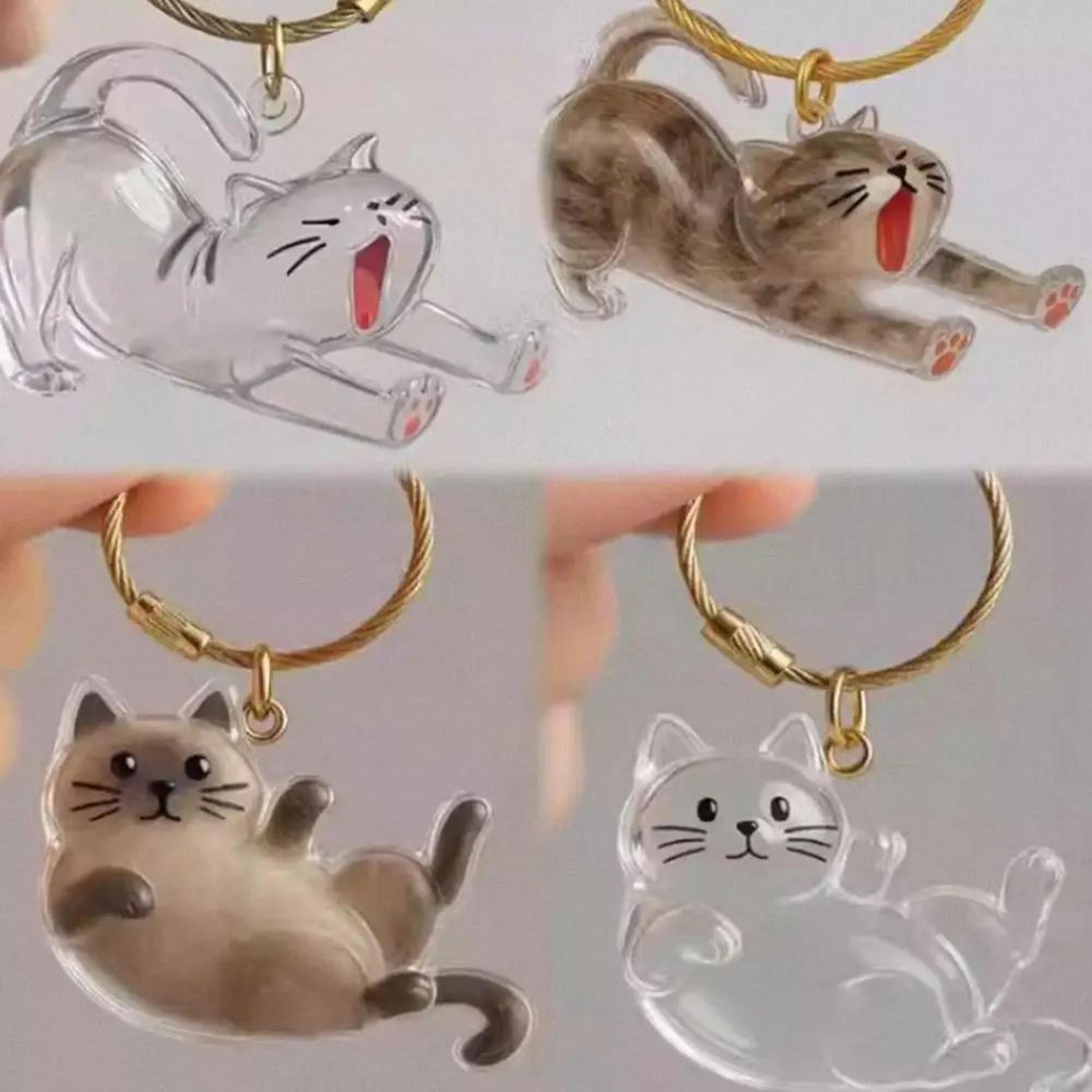 Transparent Pet Hair Keepsake Capsule Keychain  Sentimental Cat  Dog Hair Storage Box 2