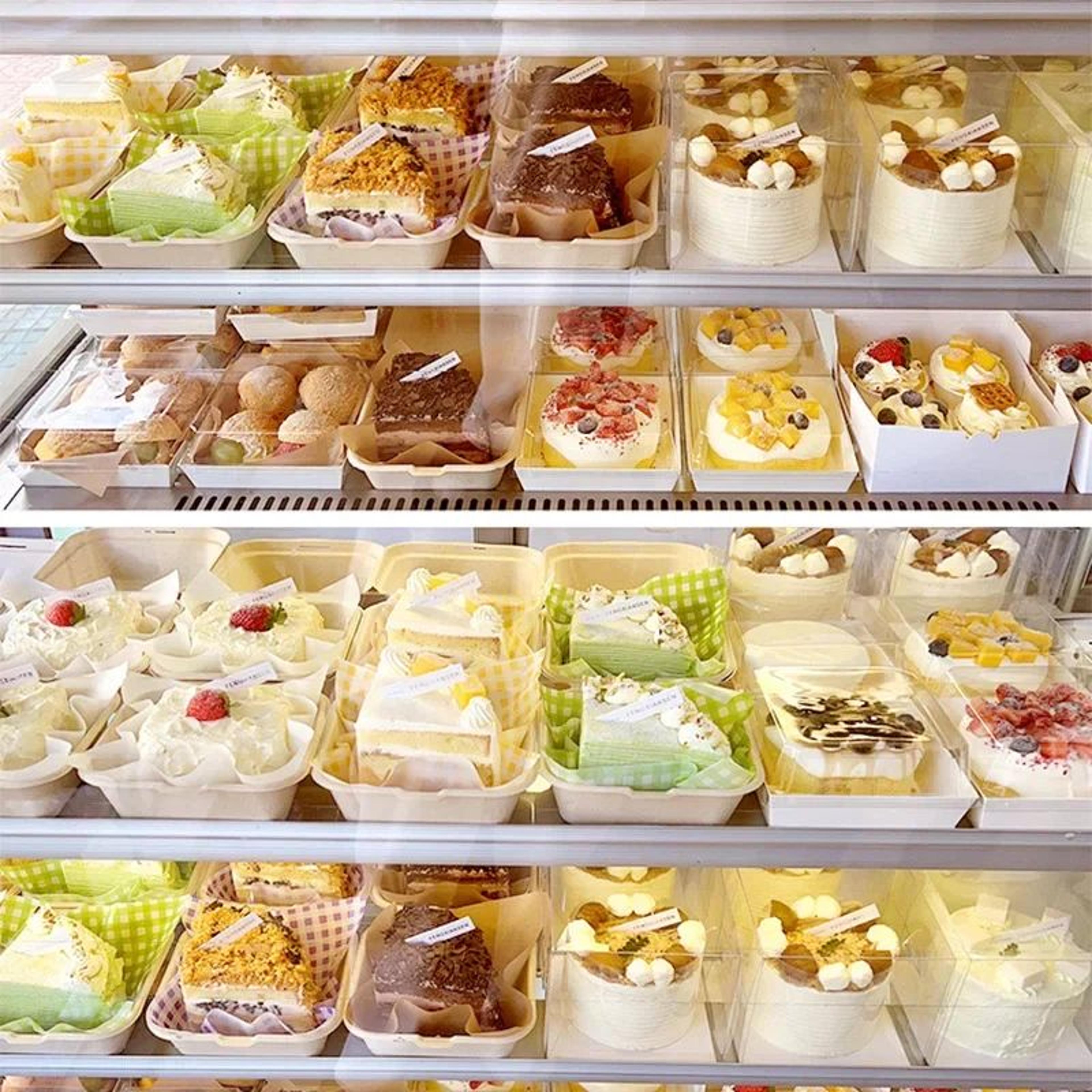 EcoFriendly Biodegradable Bento Containers With Lids 1020 Pack For Lunch Desserts  Takeout 5