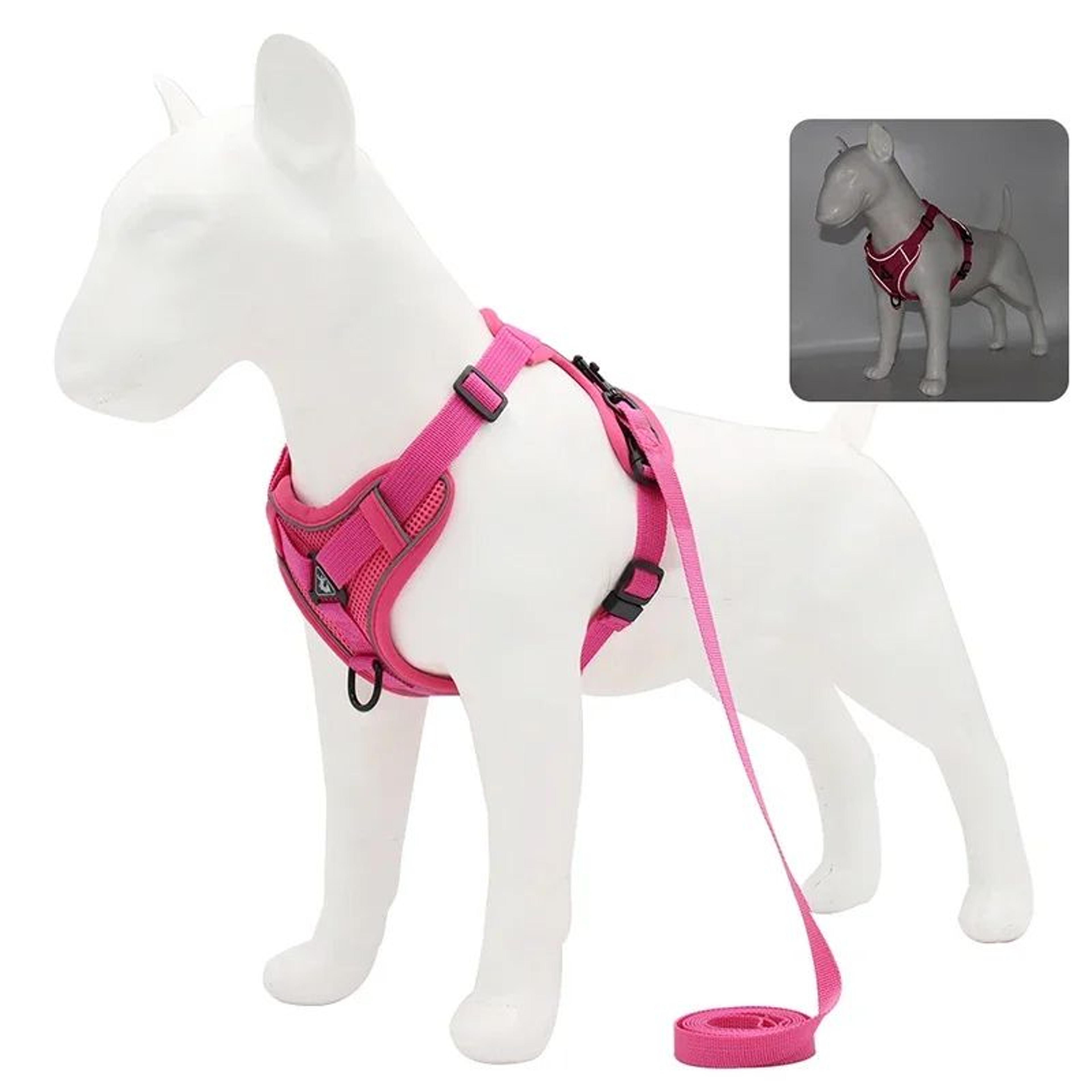NoPull Reflective Mesh Harness  Leash Set For Small Dogs And Cats Adjustable Comfort Vest 9