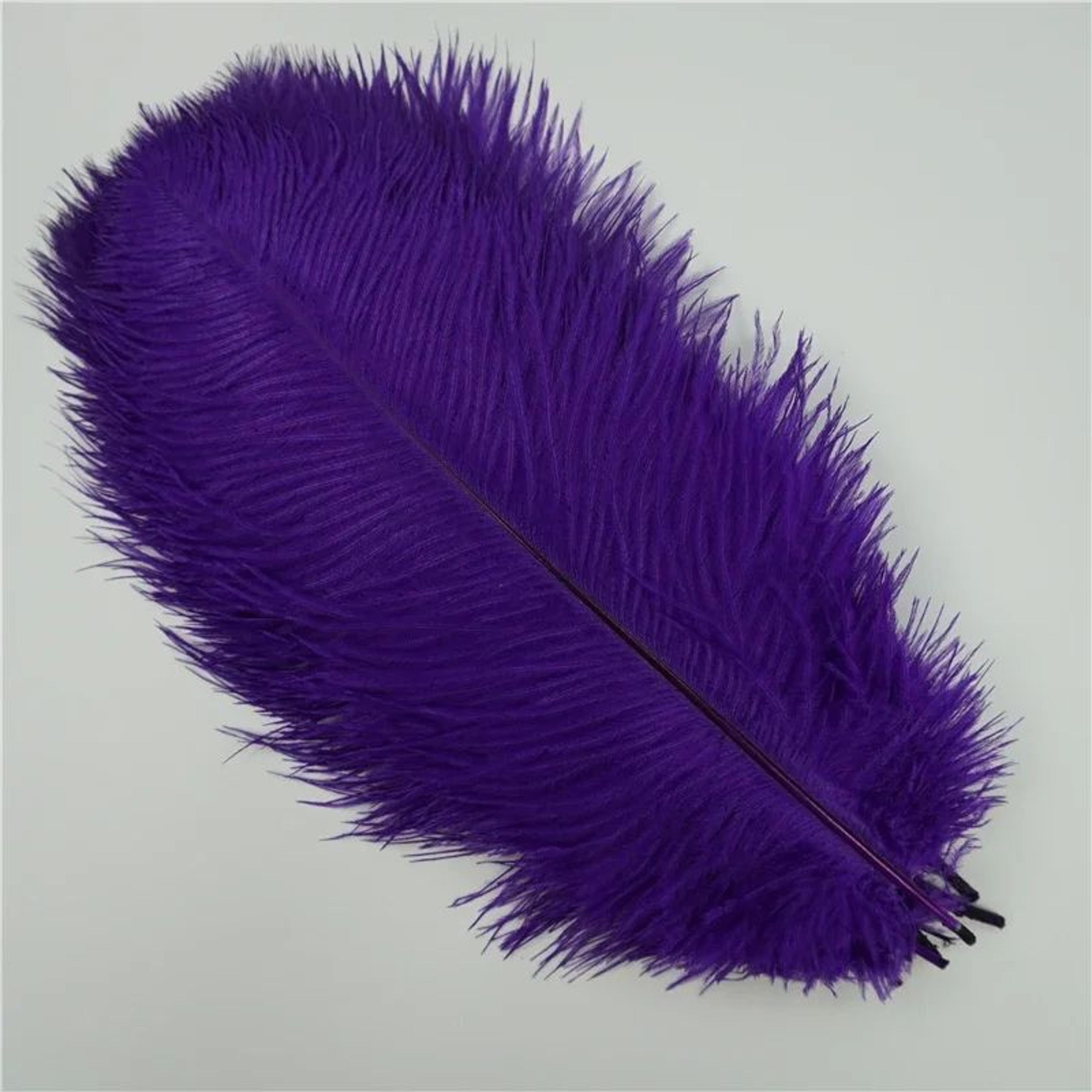 10Pack Colored Ostrich Feathers For Crafts  Wedding Centerpieces 620in 10