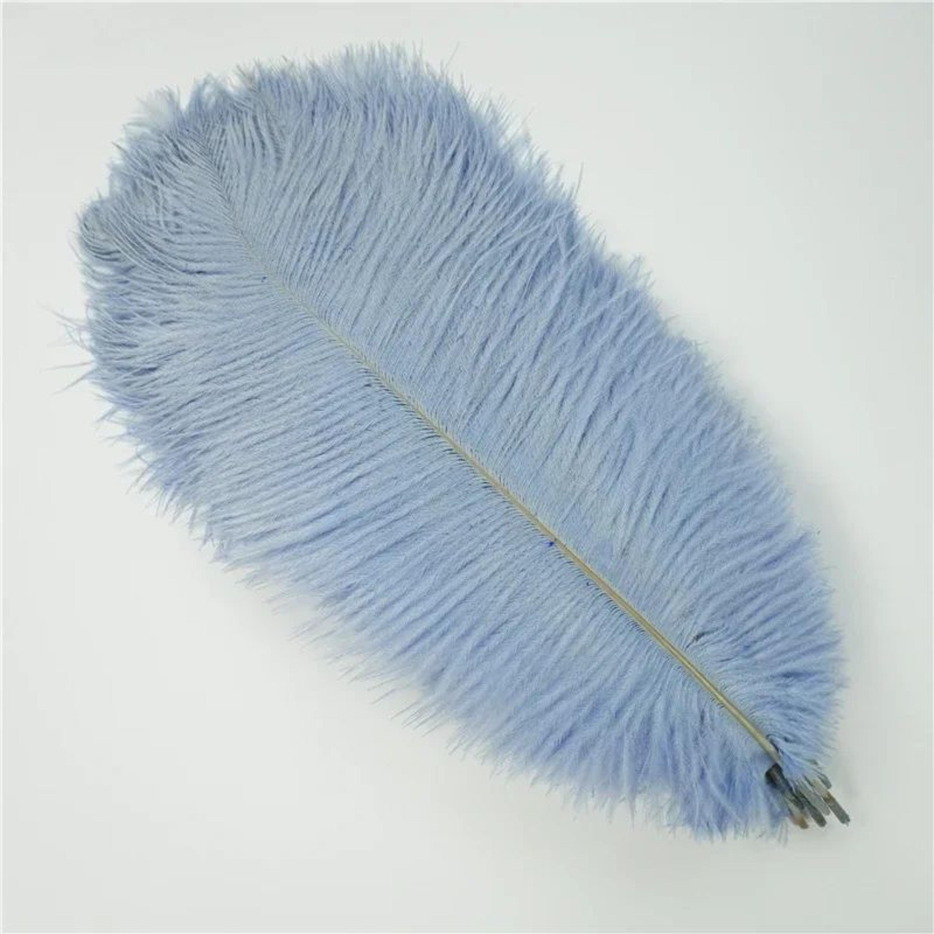 10Pack Colored Ostrich Feathers For Crafts  Wedding Centerpieces 620in 12
