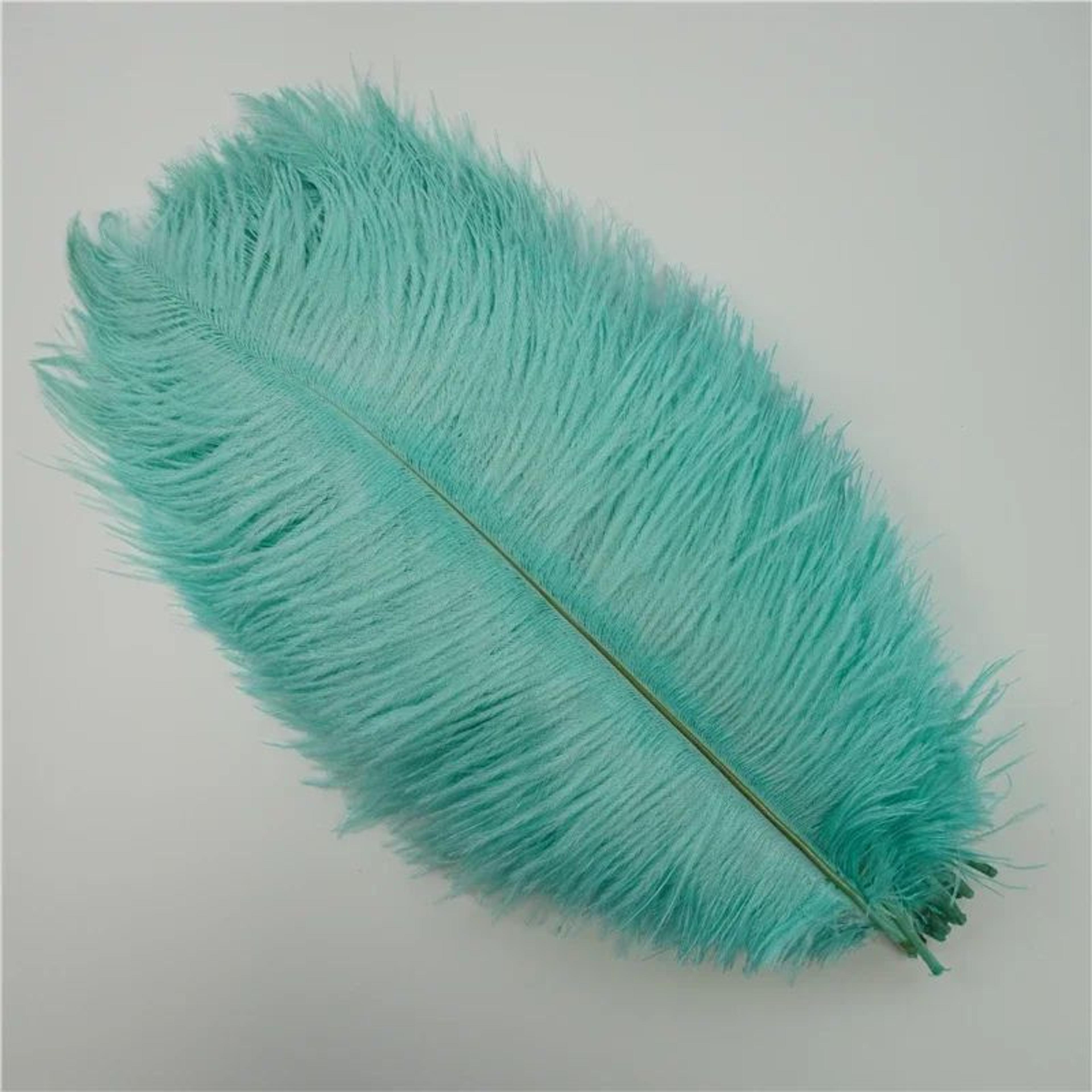 10Pack Colored Ostrich Feathers For Crafts  Wedding Centerpieces 620in 13