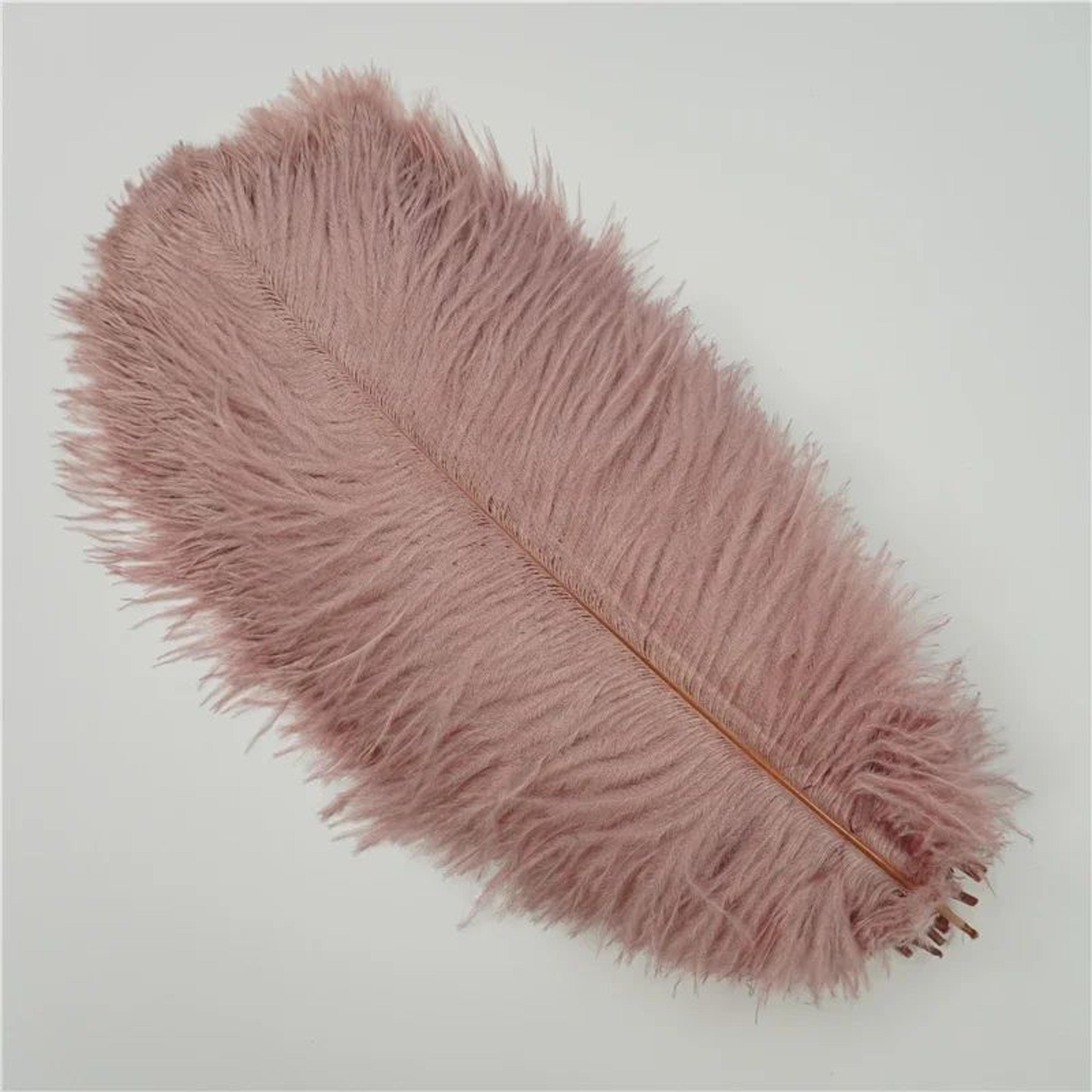 10Pack Colored Ostrich Feathers For Crafts  Wedding Centerpieces 620in 2