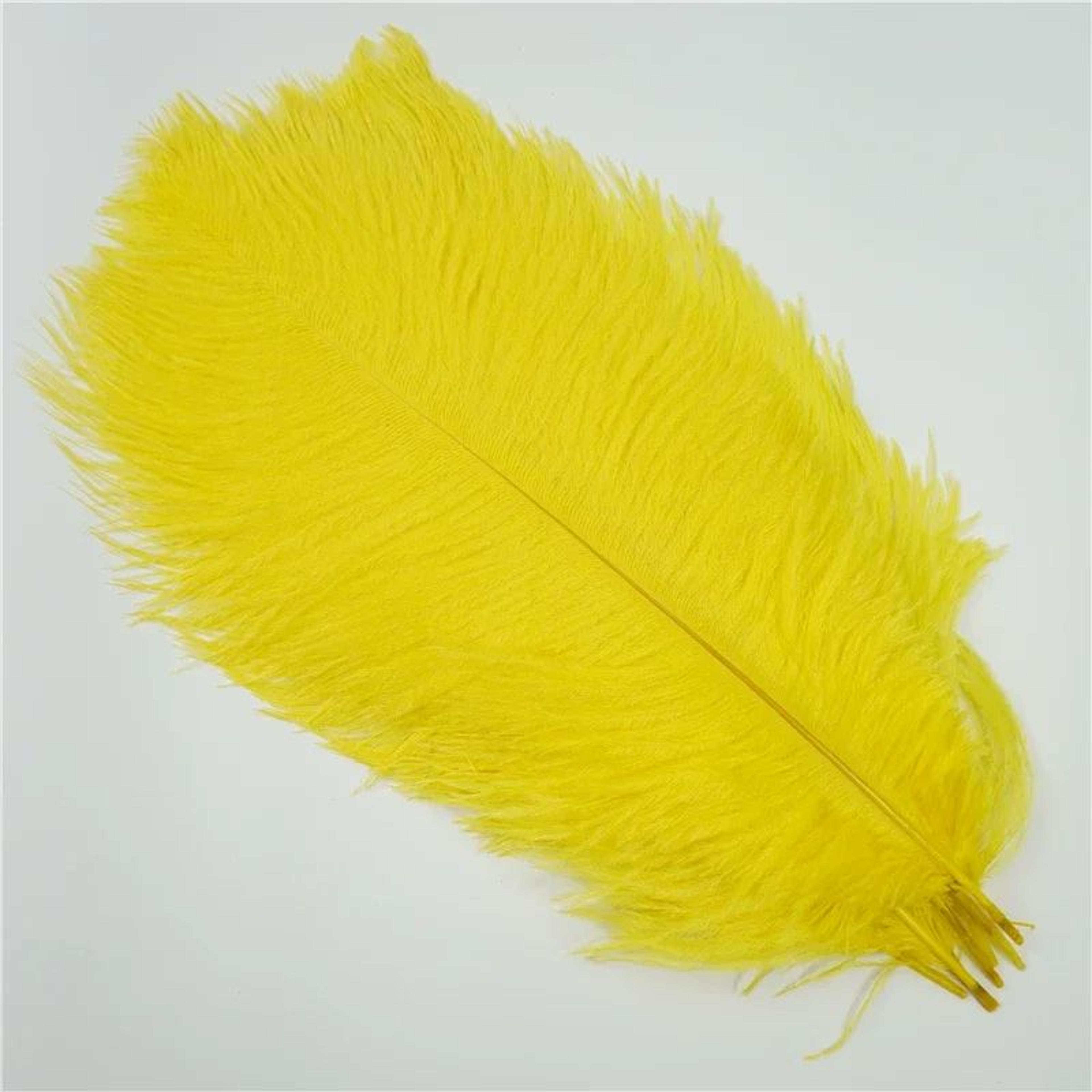 10Pack Colored Ostrich Feathers For Crafts  Wedding Centerpieces 620in 5