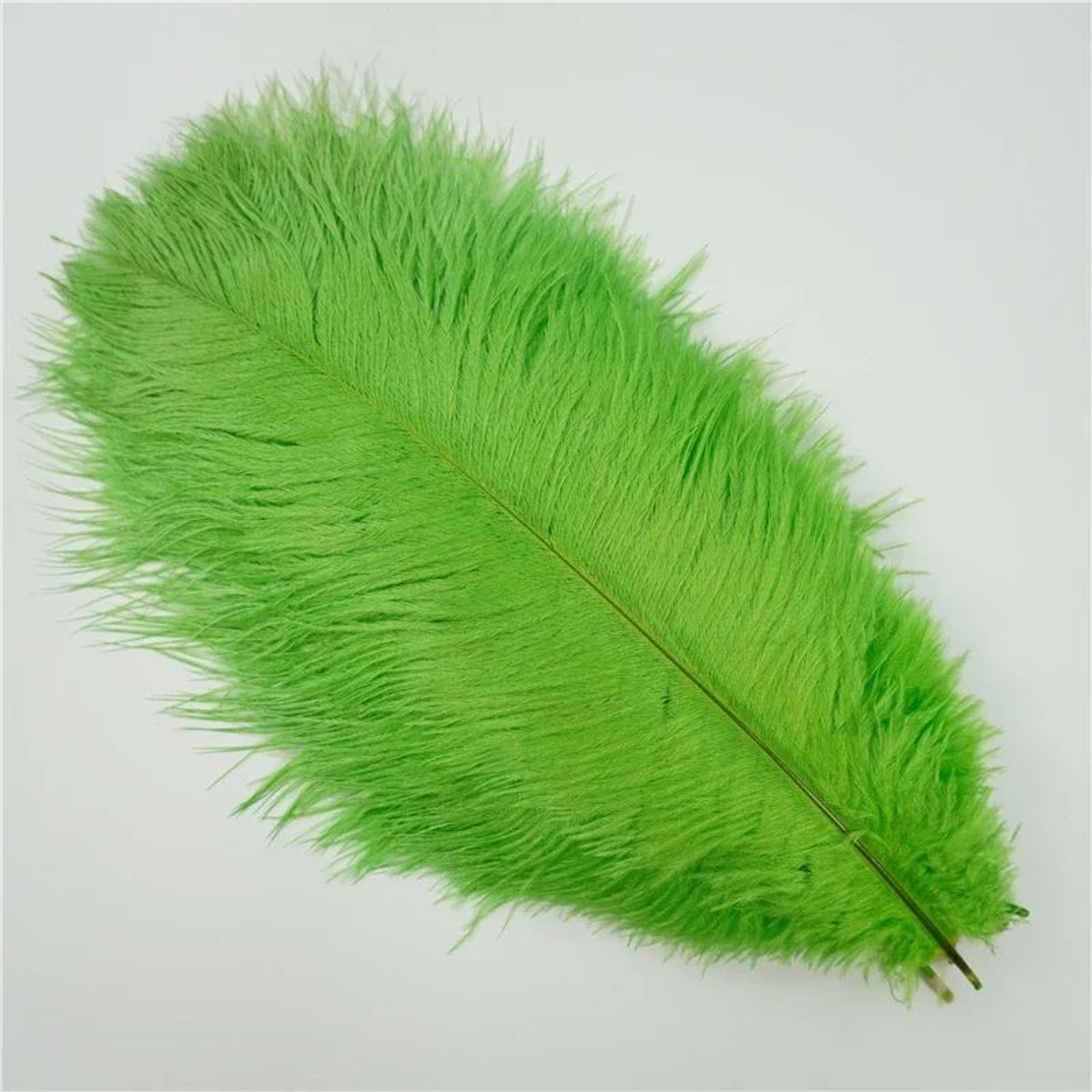 10Pack Colored Ostrich Feathers For Crafts  Wedding Centerpieces 620in 6