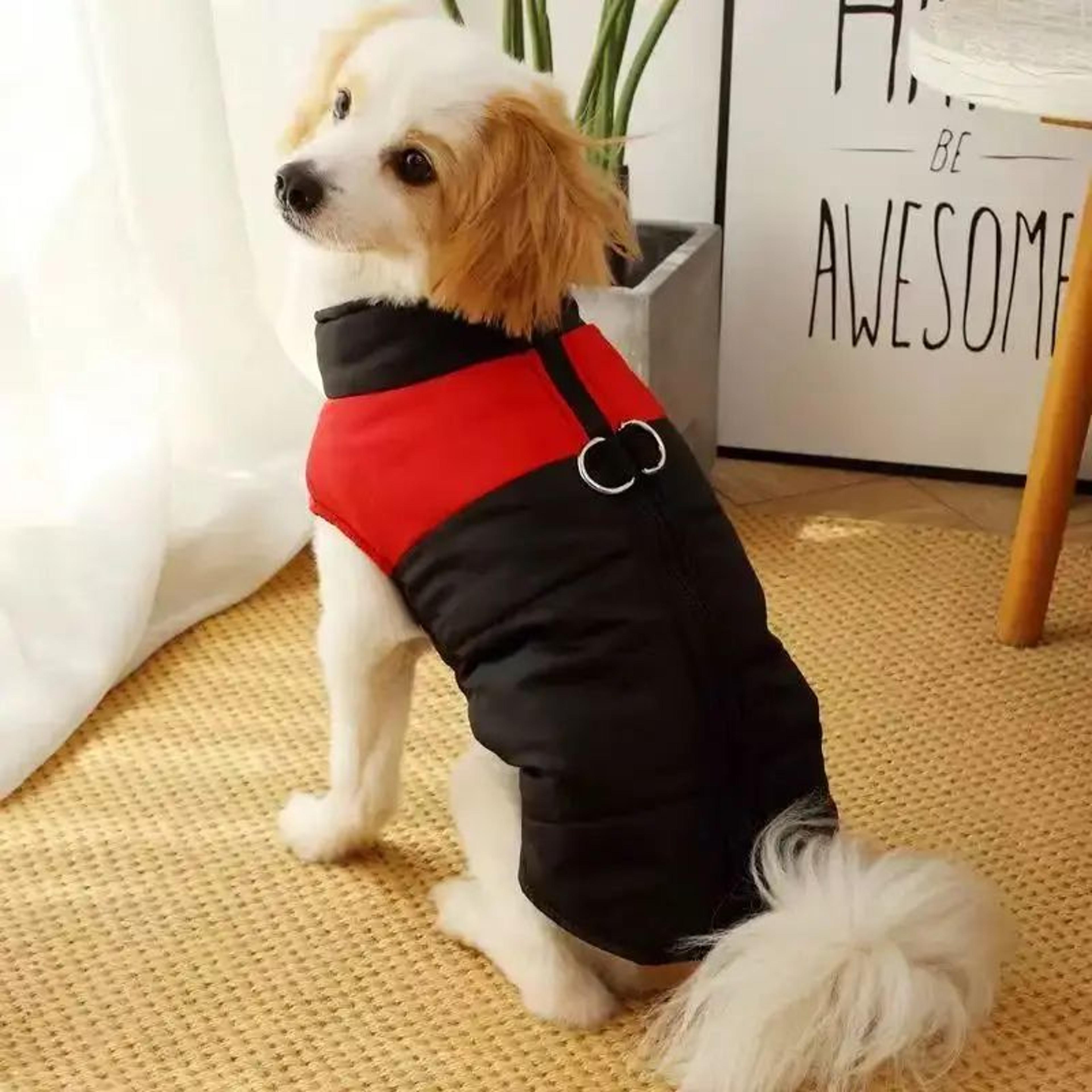 WarmShield Dog Hoodie Coat For Cold Weather Walks  Winter Dog Coat Large Dog Clothes Outdoor Pet Ja 4