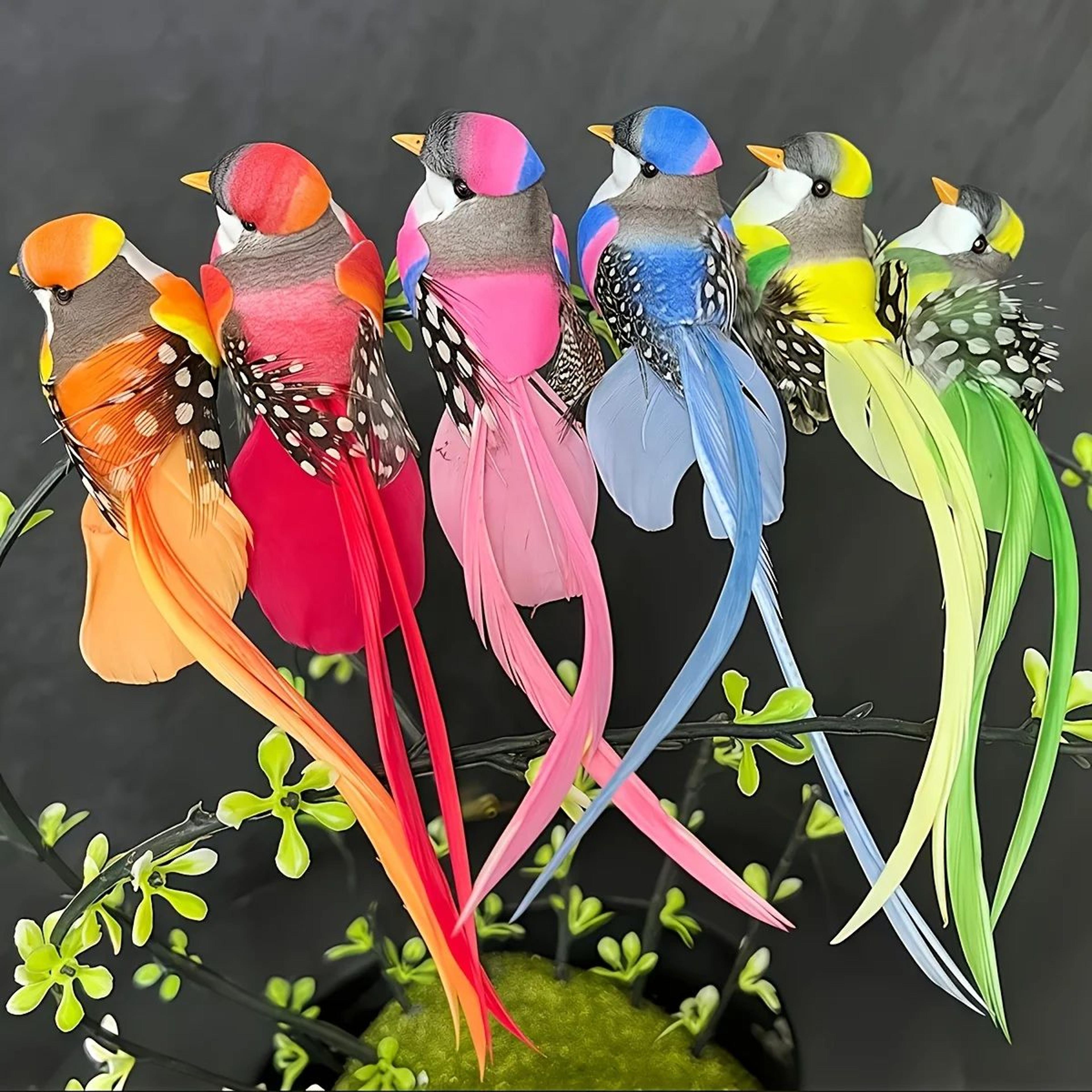 Vivid Feathered Artificial Bird Decorations  6Pack Colorful Garden Ornaments With Long Tails 2