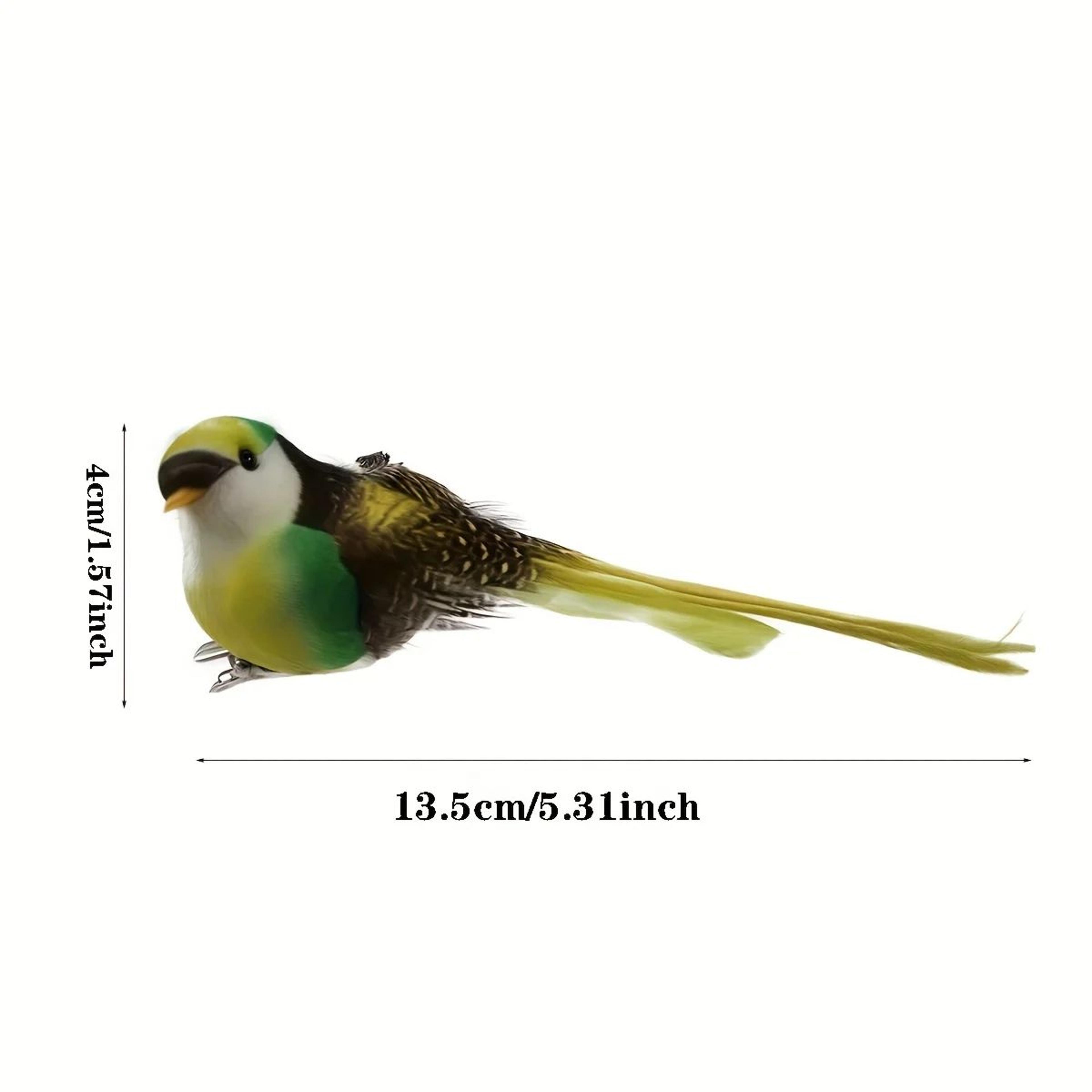Vivid Feathered Artificial Bird Decorations  6Pack Colorful Garden Ornaments With Long Tails 5