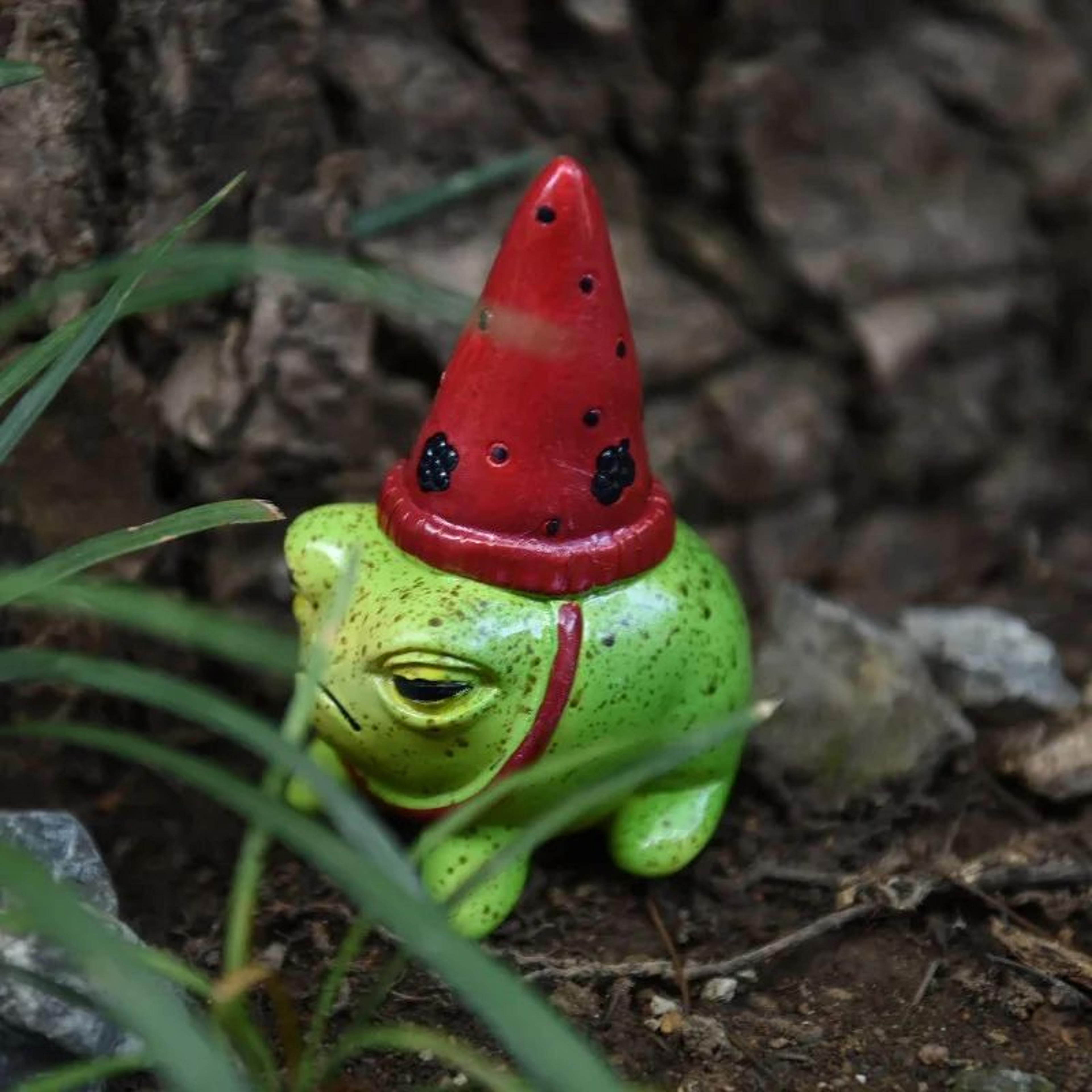 Charming HatWearing Resin Frog Figurine For Fairy Garden And Succulent Planters 4