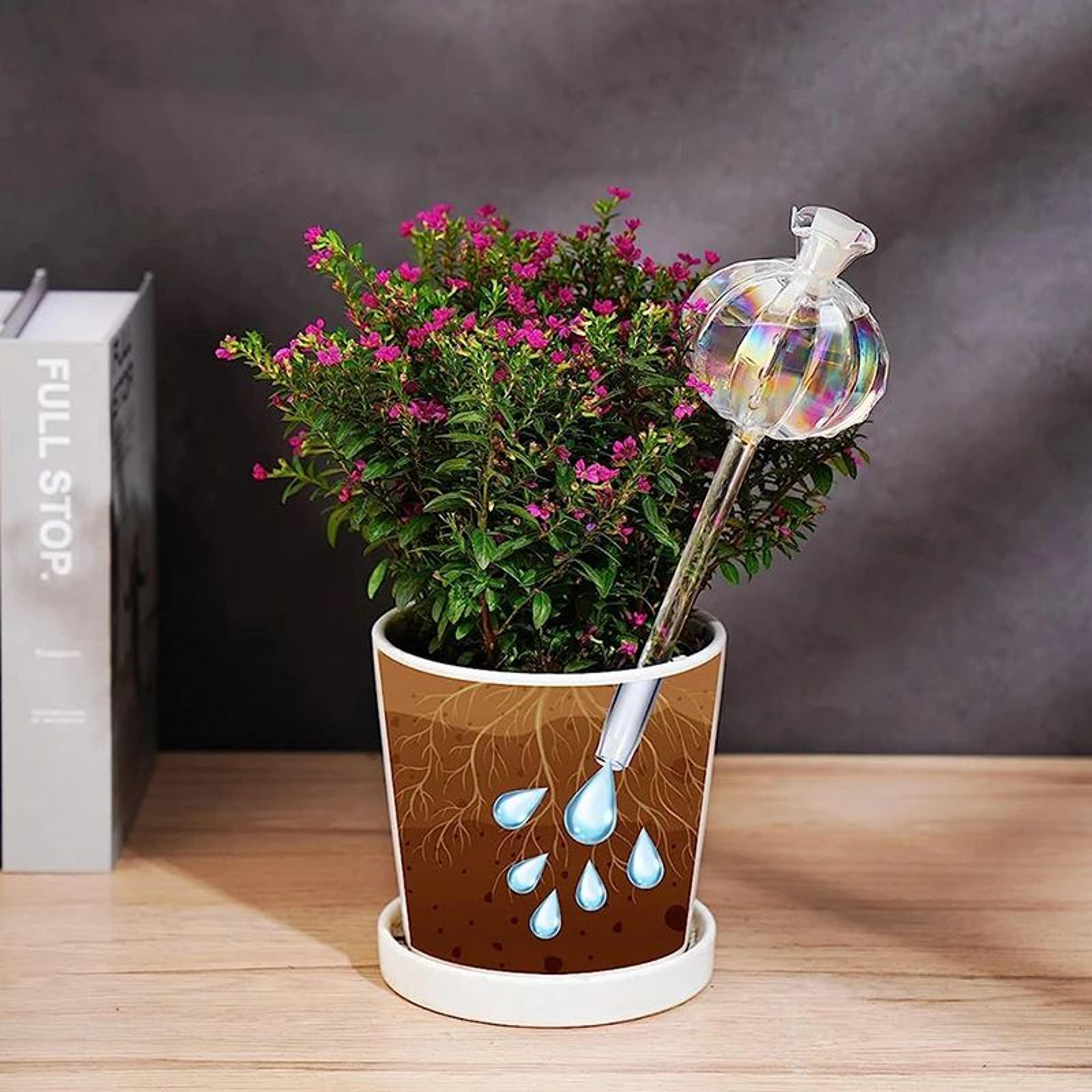 Glass SelfWatering Plant Bulbs  Automatic Watering Globes For Indoor Plants 4