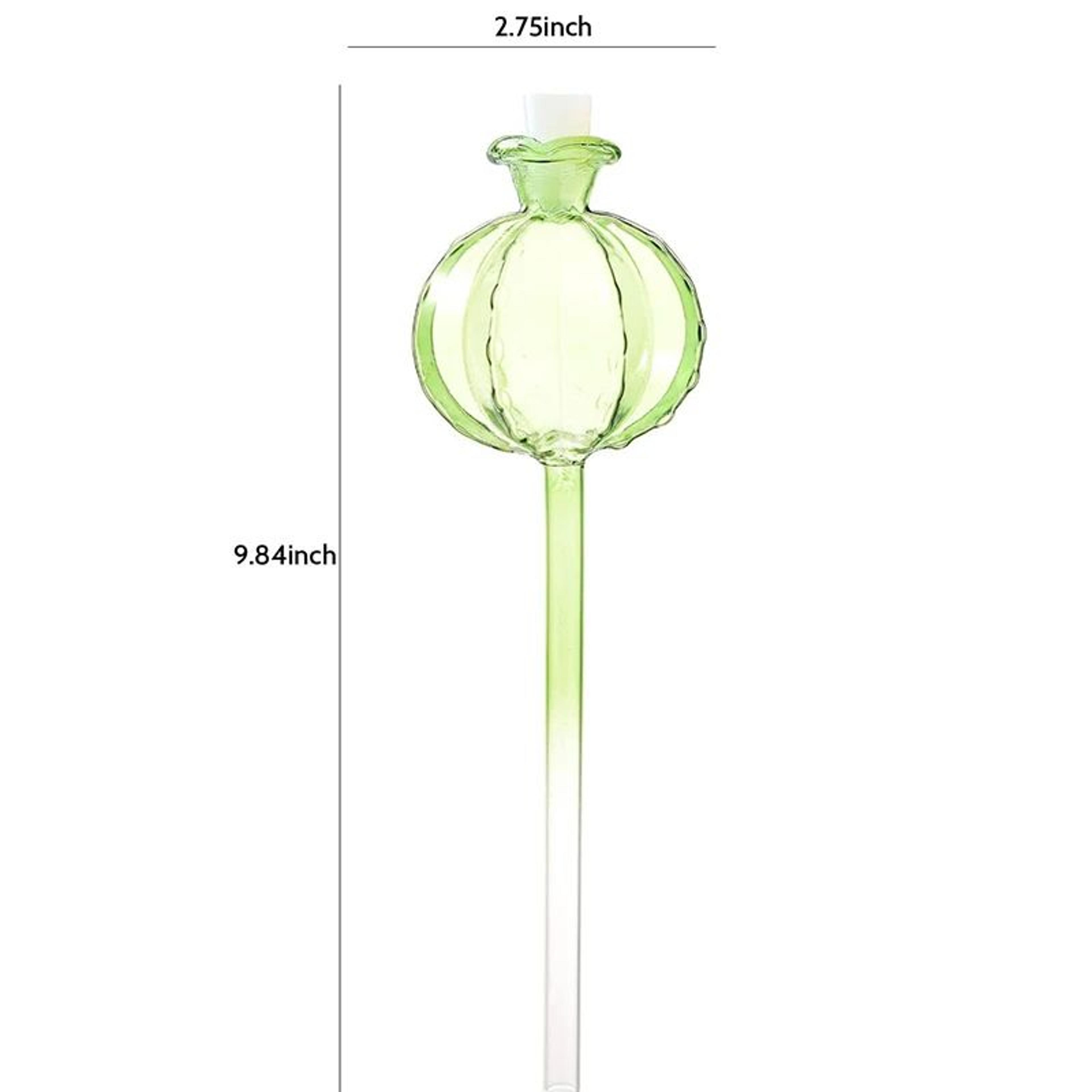 Glass SelfWatering Plant Bulbs  Automatic Watering Globes For Indoor Plants 7
