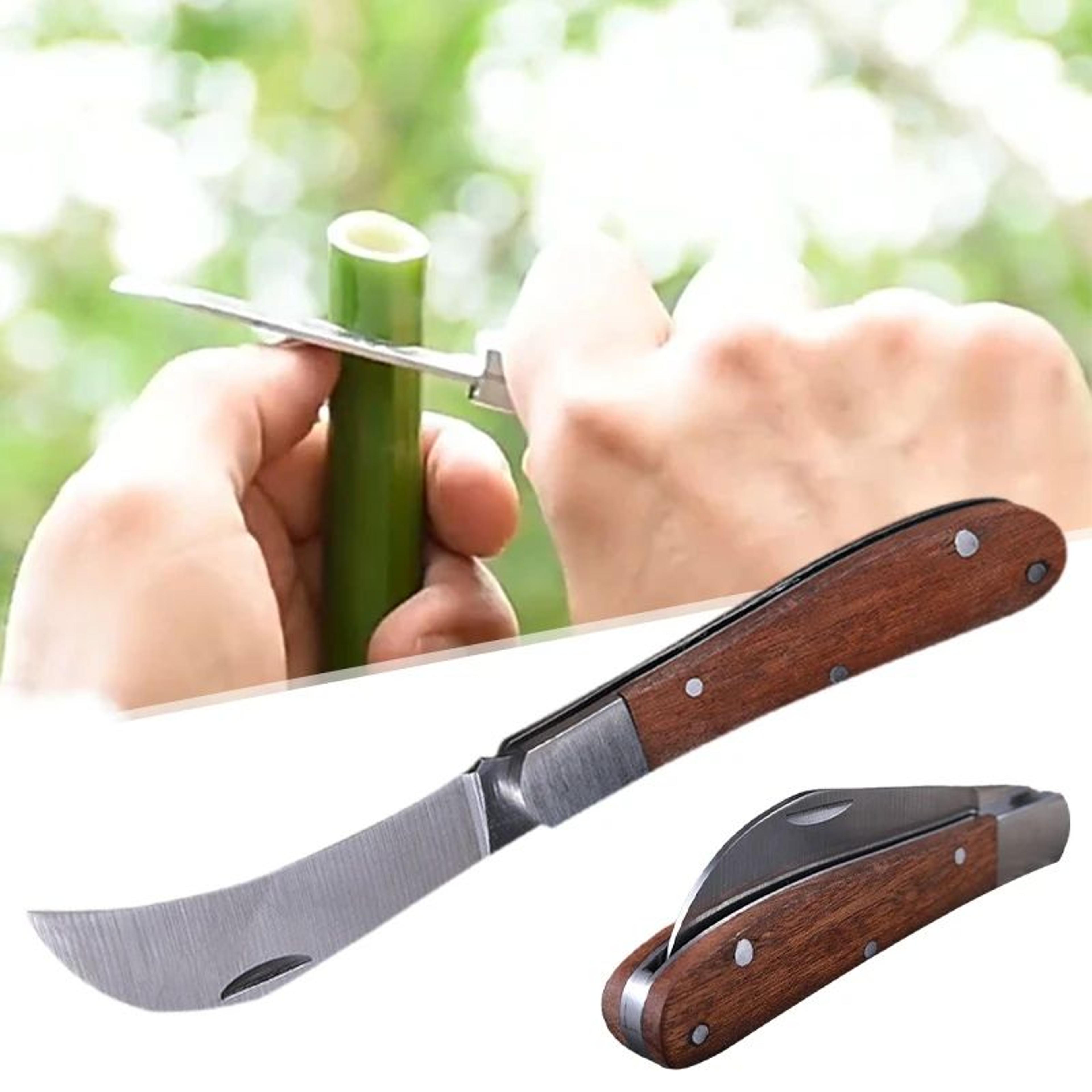 Premium Folding Grafting Scissors  Tool  HeavyDuty Stainless Steel Gardening Knife For Precision Cu 0