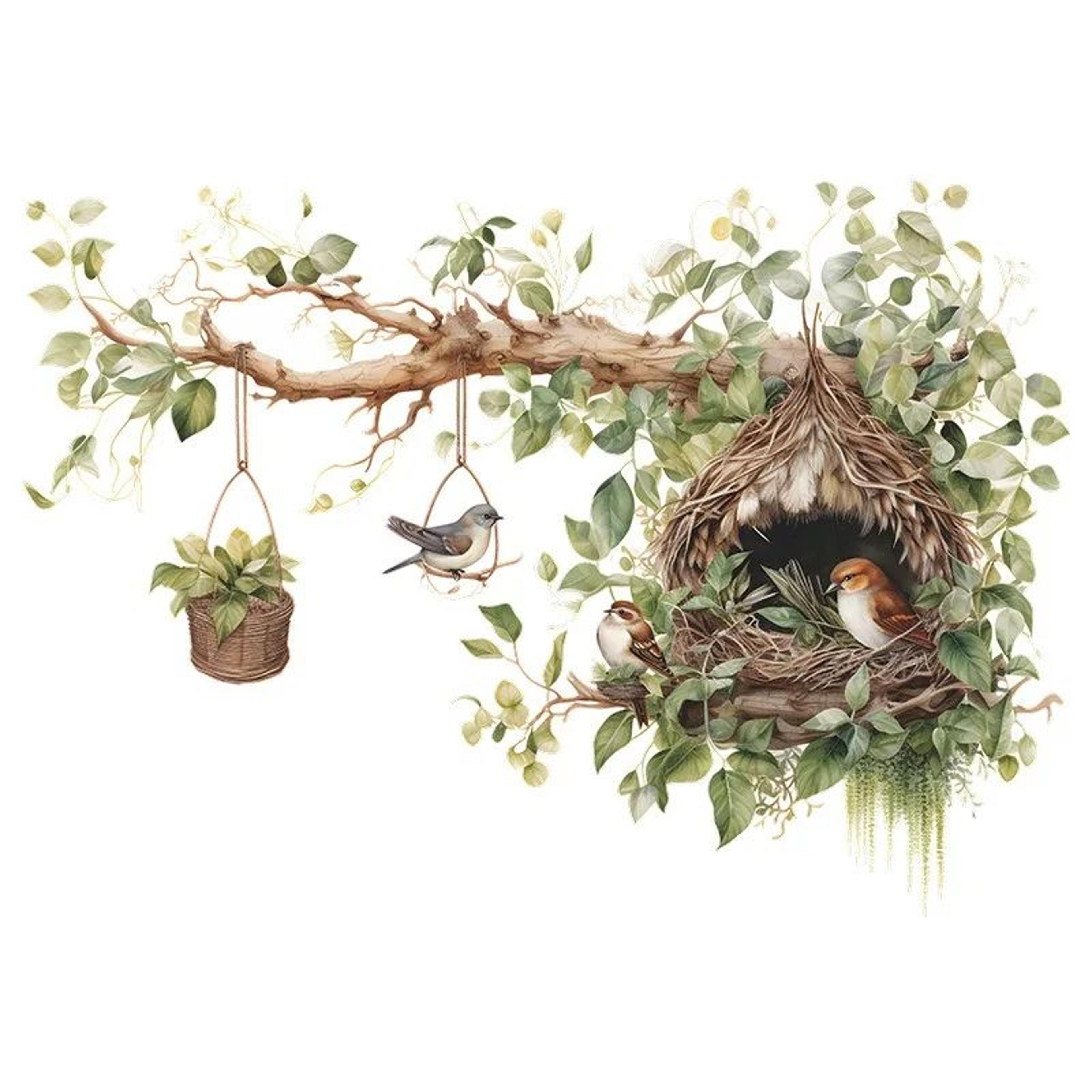 NatureInspired Bird Wall Decals  Elegant Branch  Nest SelfAdhesive Vinyl Wall Decor For Living Room 3